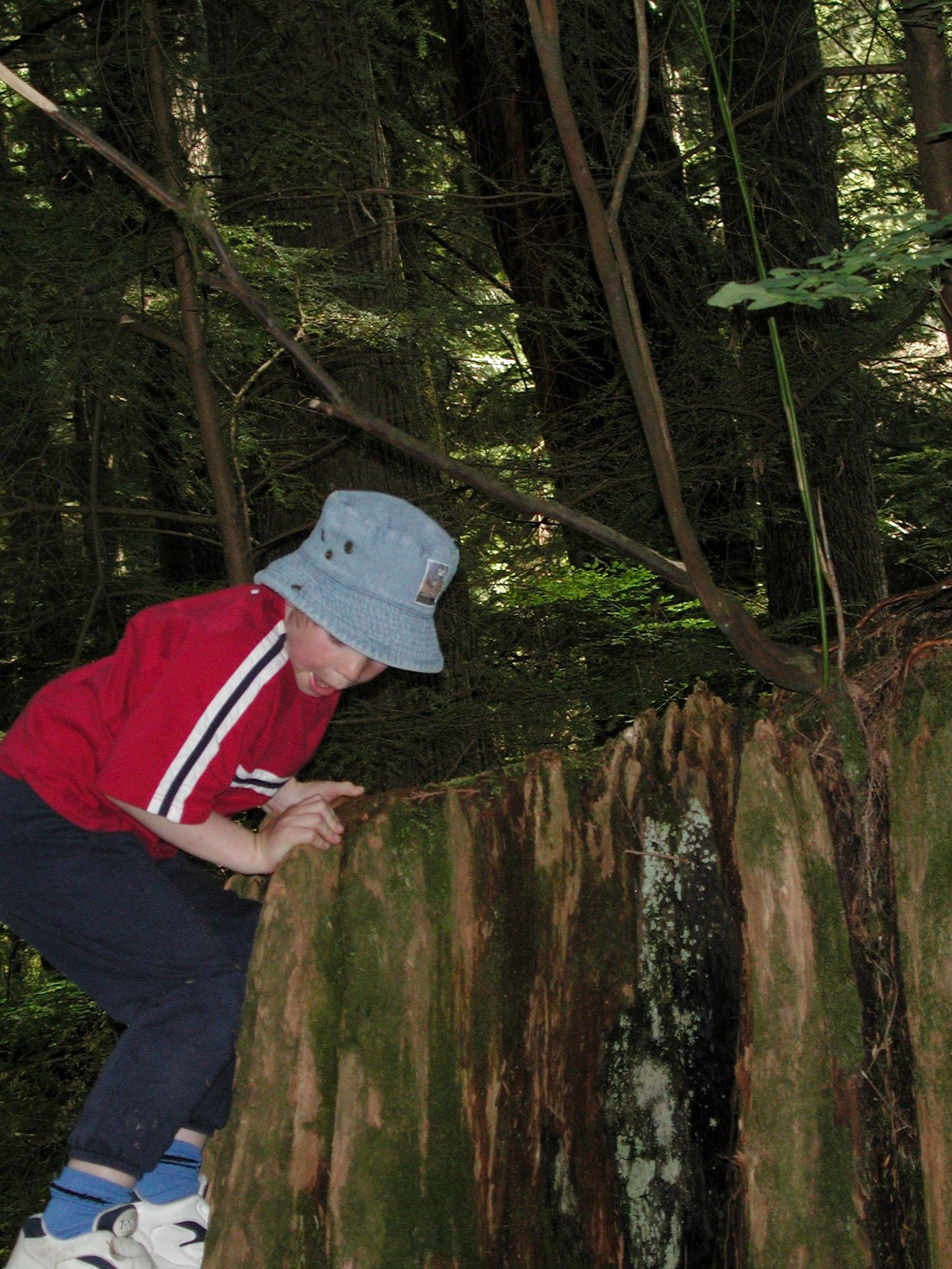 DSCN3380.JPG, 793463 bytes, 9/15/02