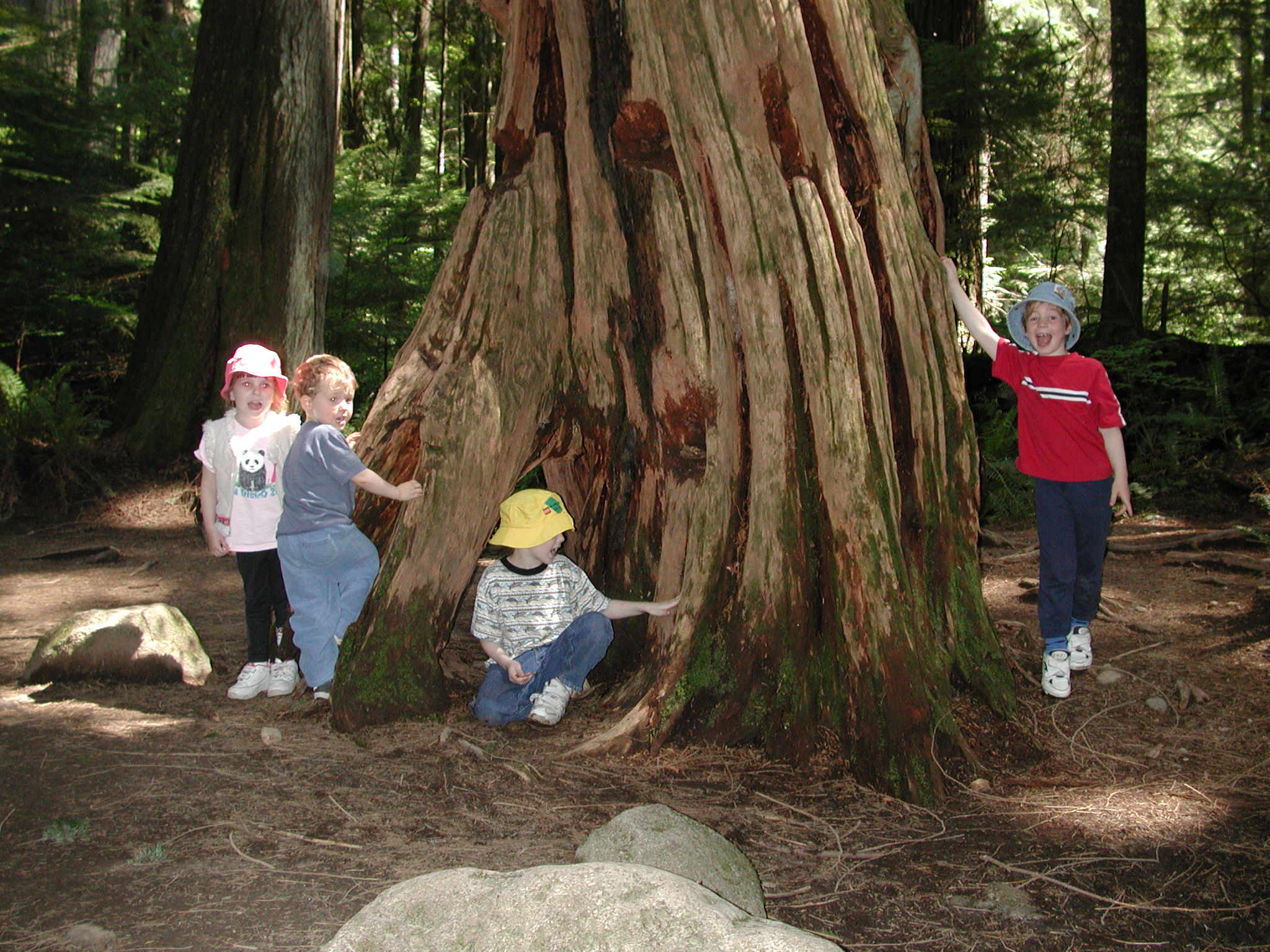 DSCN3381.JPG, 721390 bytes, 6/02/02