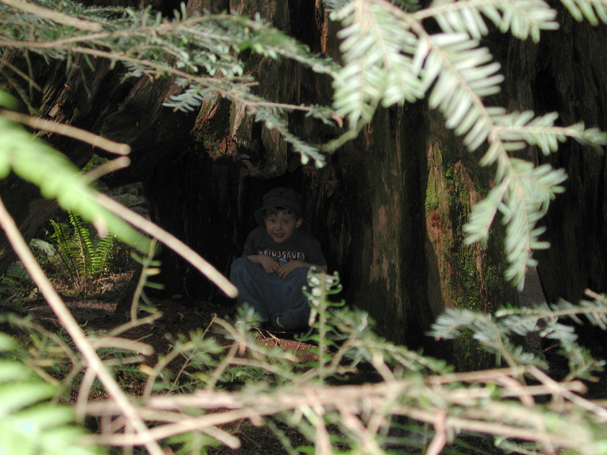 DSCN3382.JPG, 672181 bytes, 9/15/02