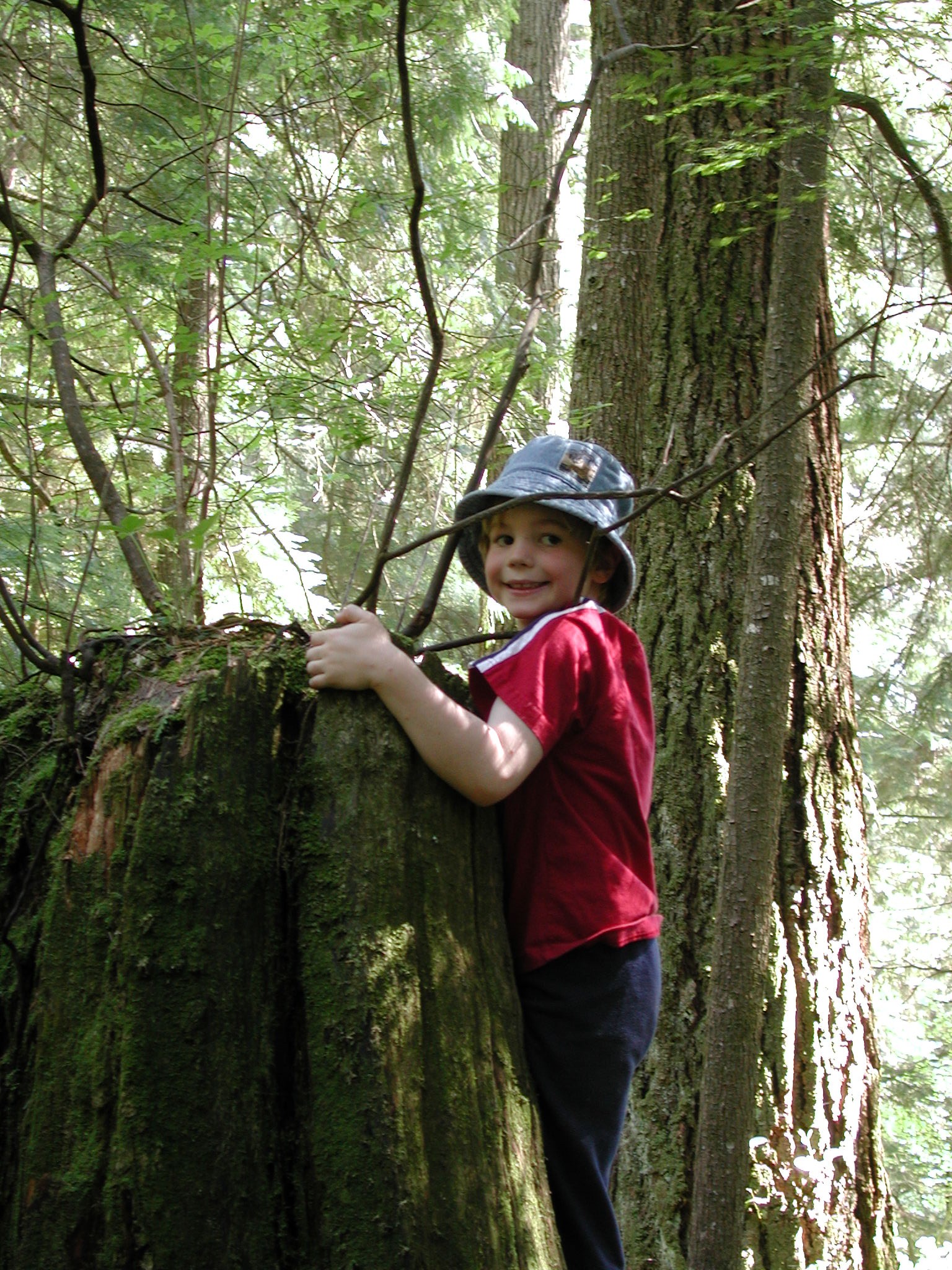 DSCN3384.JPG, 914621 bytes, 6/16/02