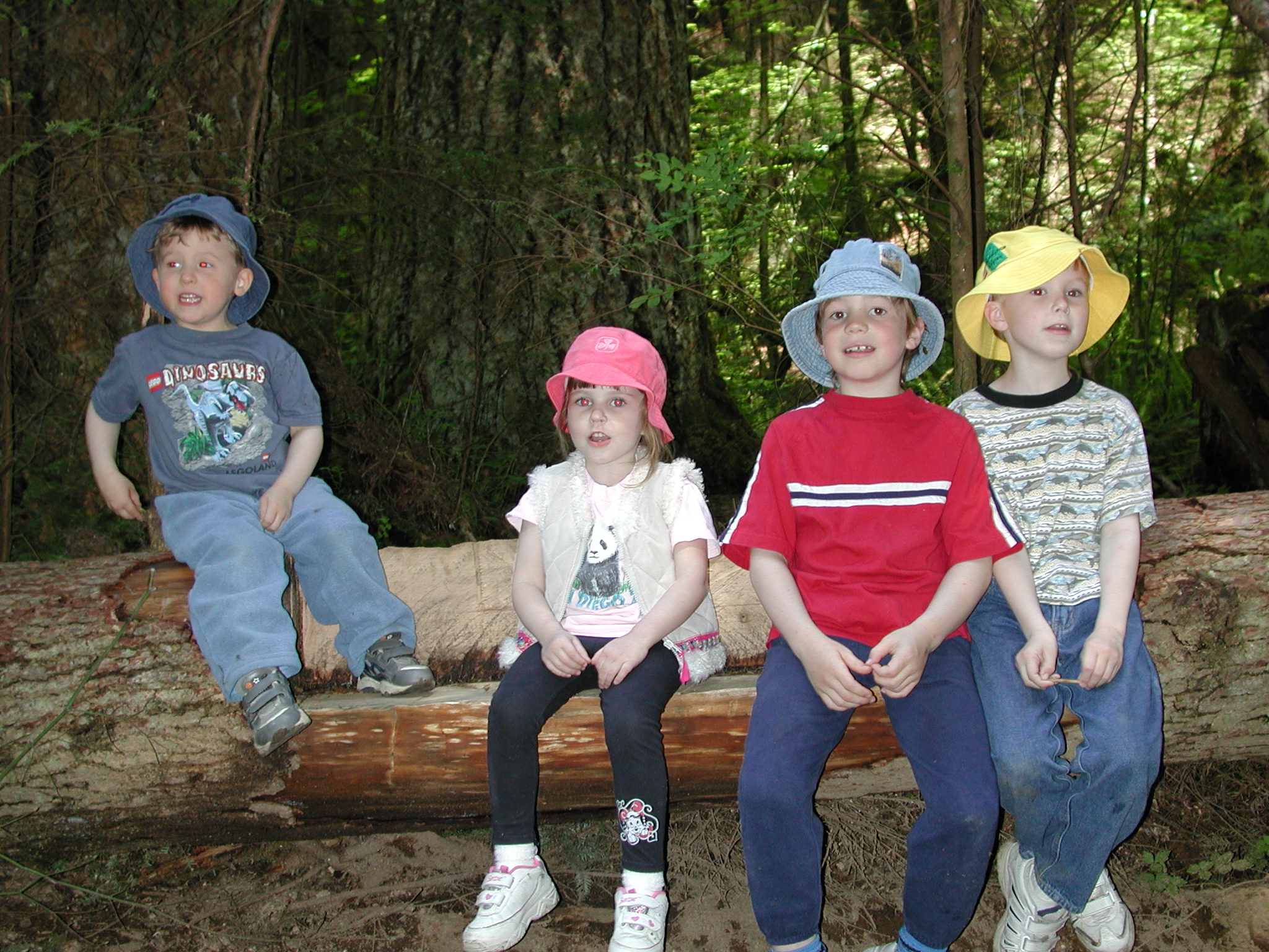 DSCN3386.JPG, 690489 bytes, 6/02/02