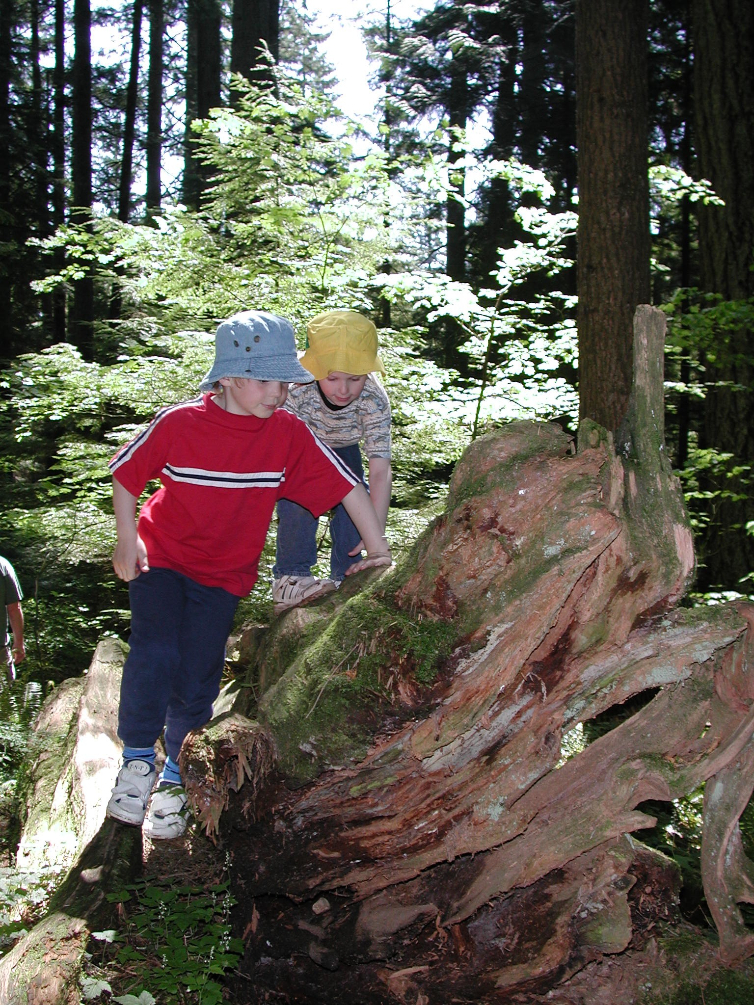 DSCN3387.JPG, 945344 bytes, 9/15/02