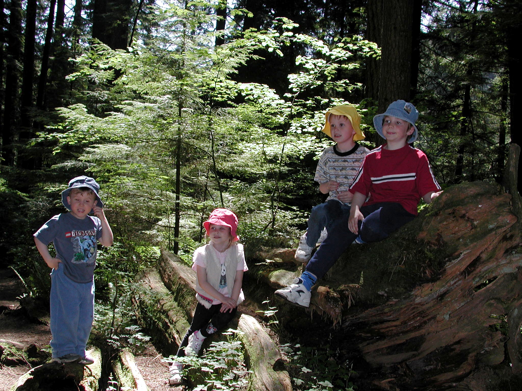 DSCN3388.JPG, 998271 bytes, 9/15/02