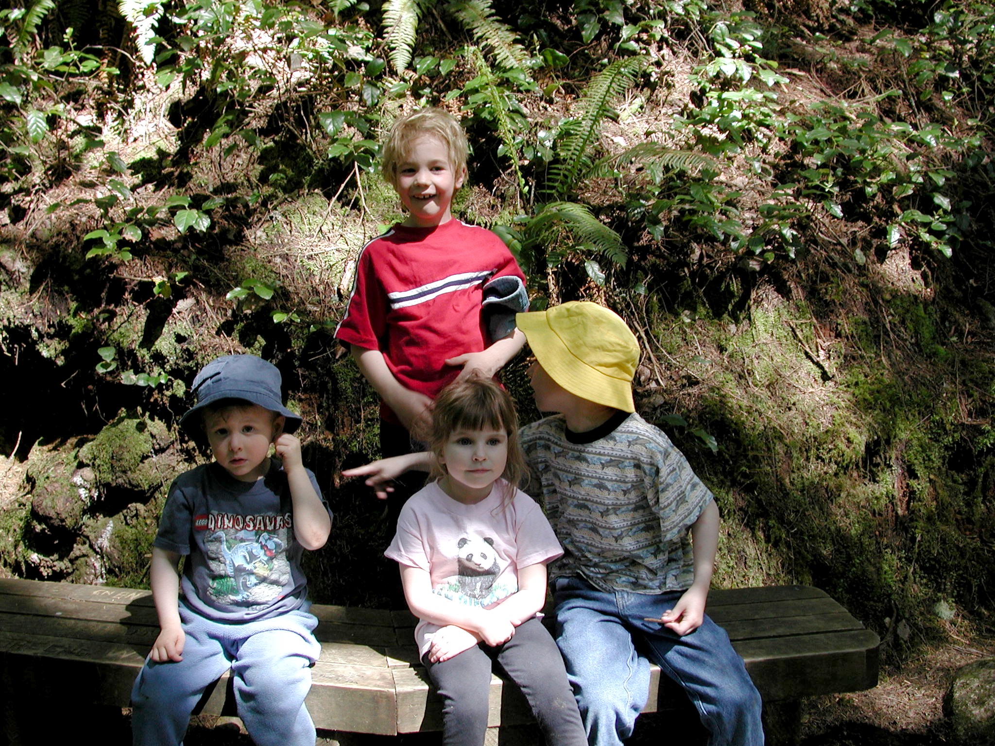 DSCN3390.JPG, 994626 bytes, 9/15/02