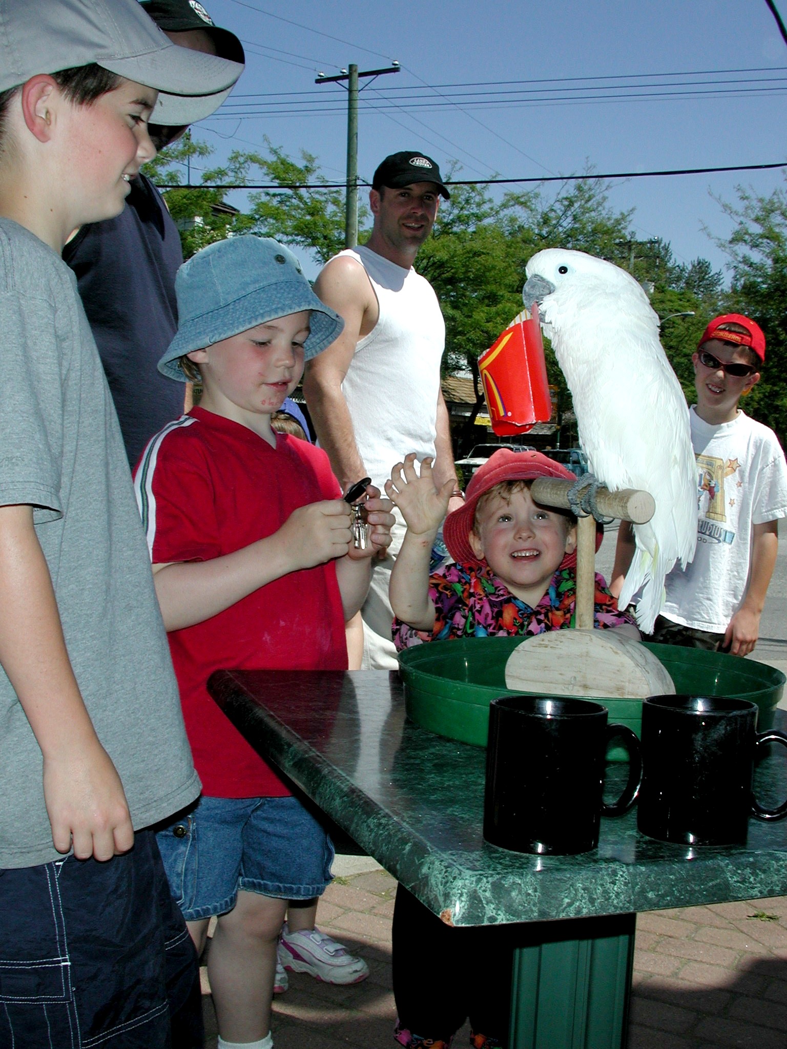 DSCN3661.JPG, 692741 bytes, 10/13/02