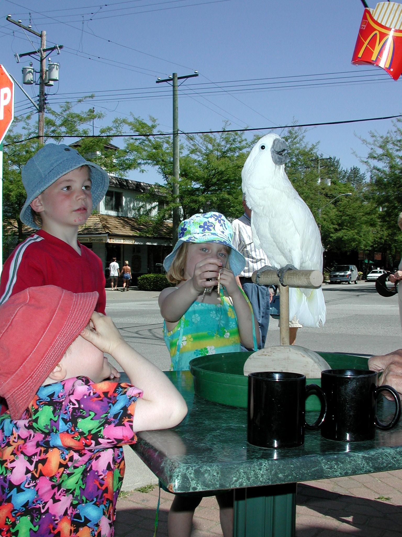 DSCN3664.JPG, 791050 bytes, 10/13/02