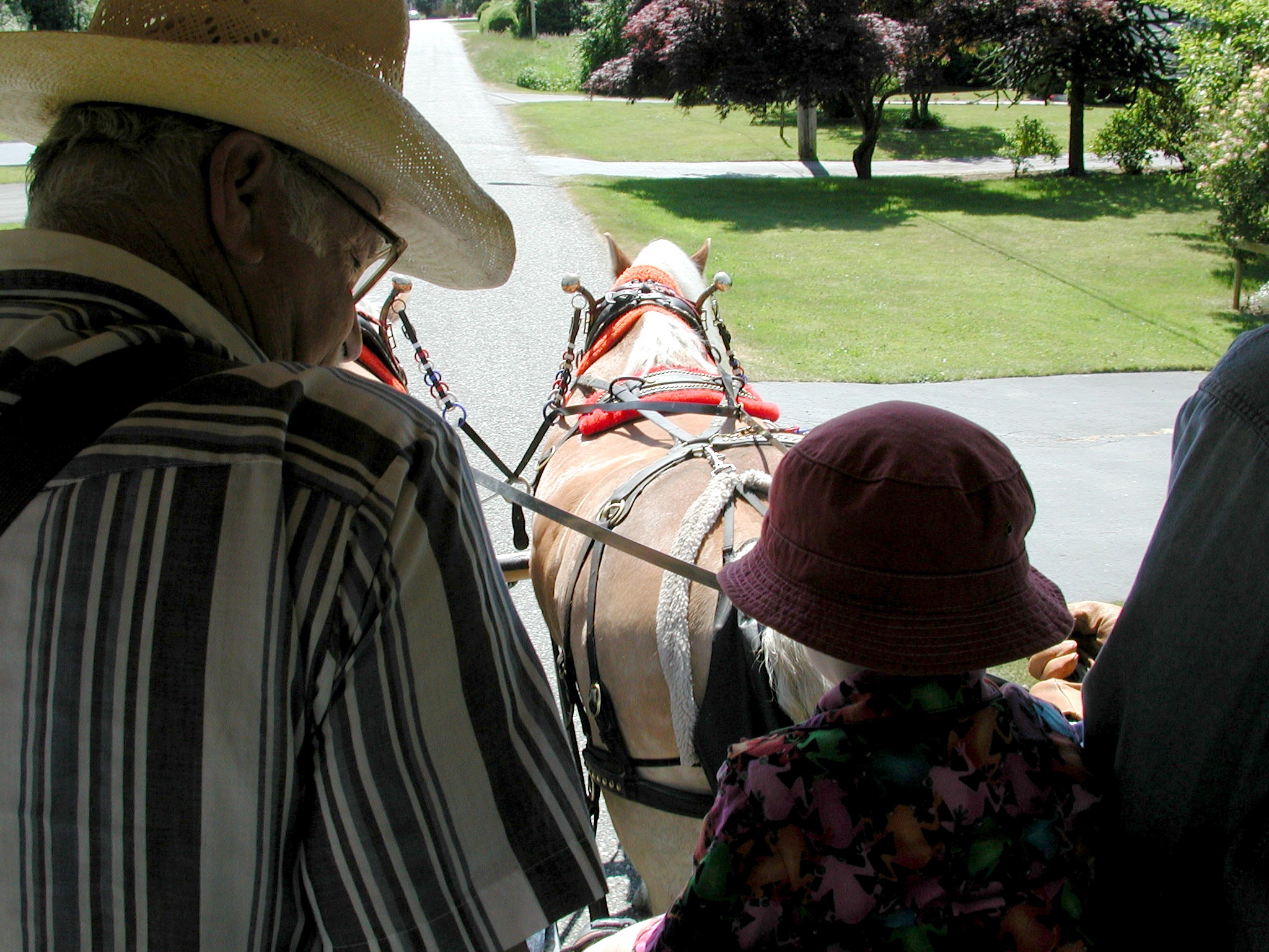 DSCN3671.JPG, 718033 bytes, 10/13/02