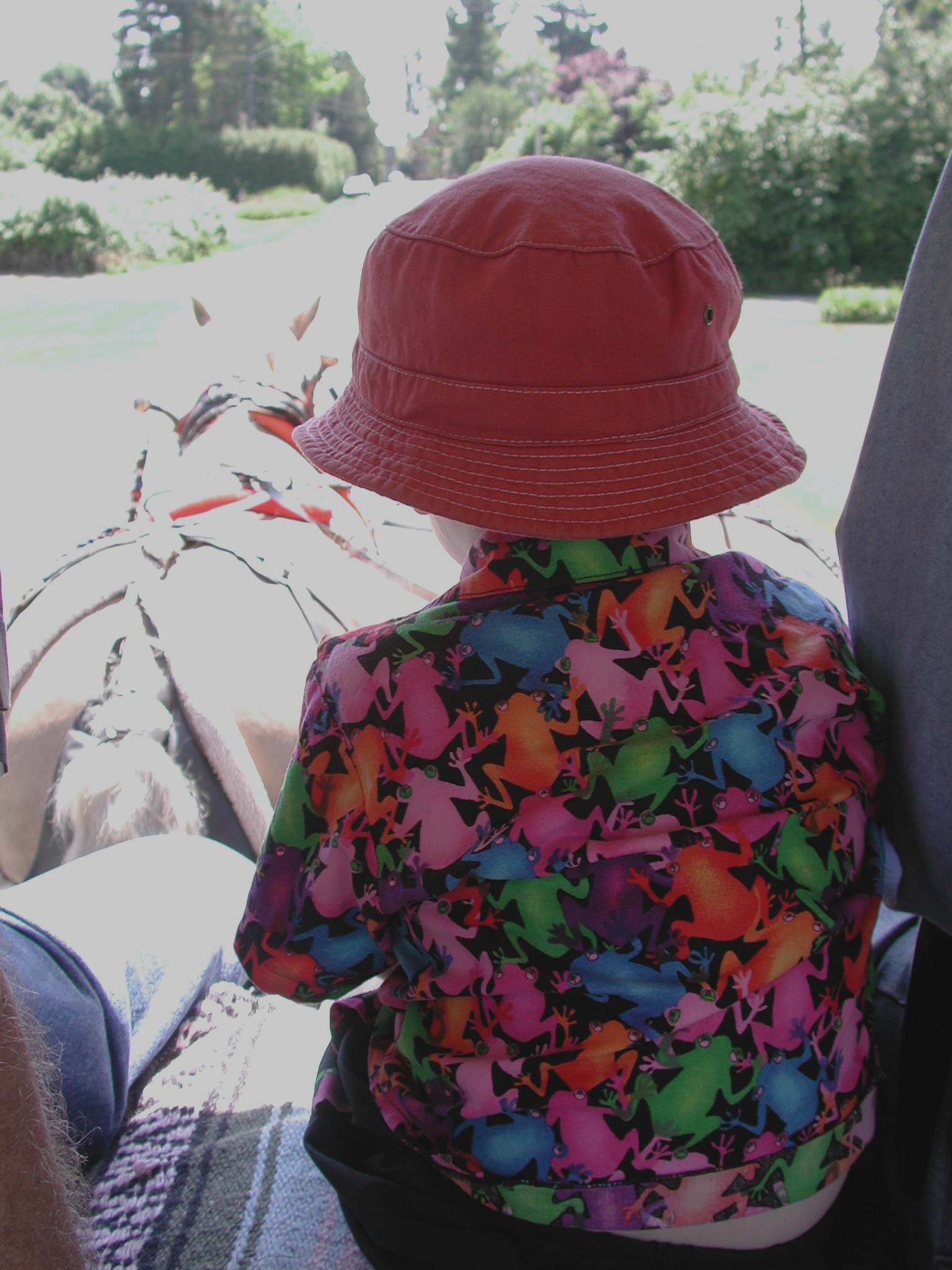 DSCN3672.JPG, 531965 bytes, 10/13/02