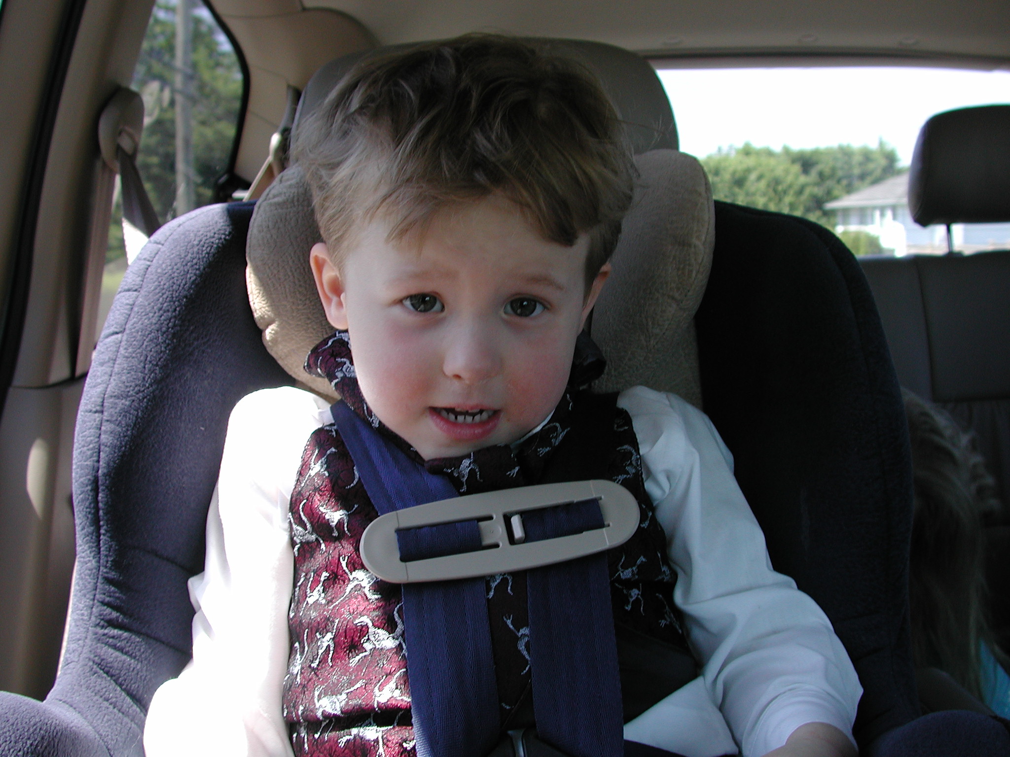 DSCN3399.JPG, 639470 bytes, 6/09/02