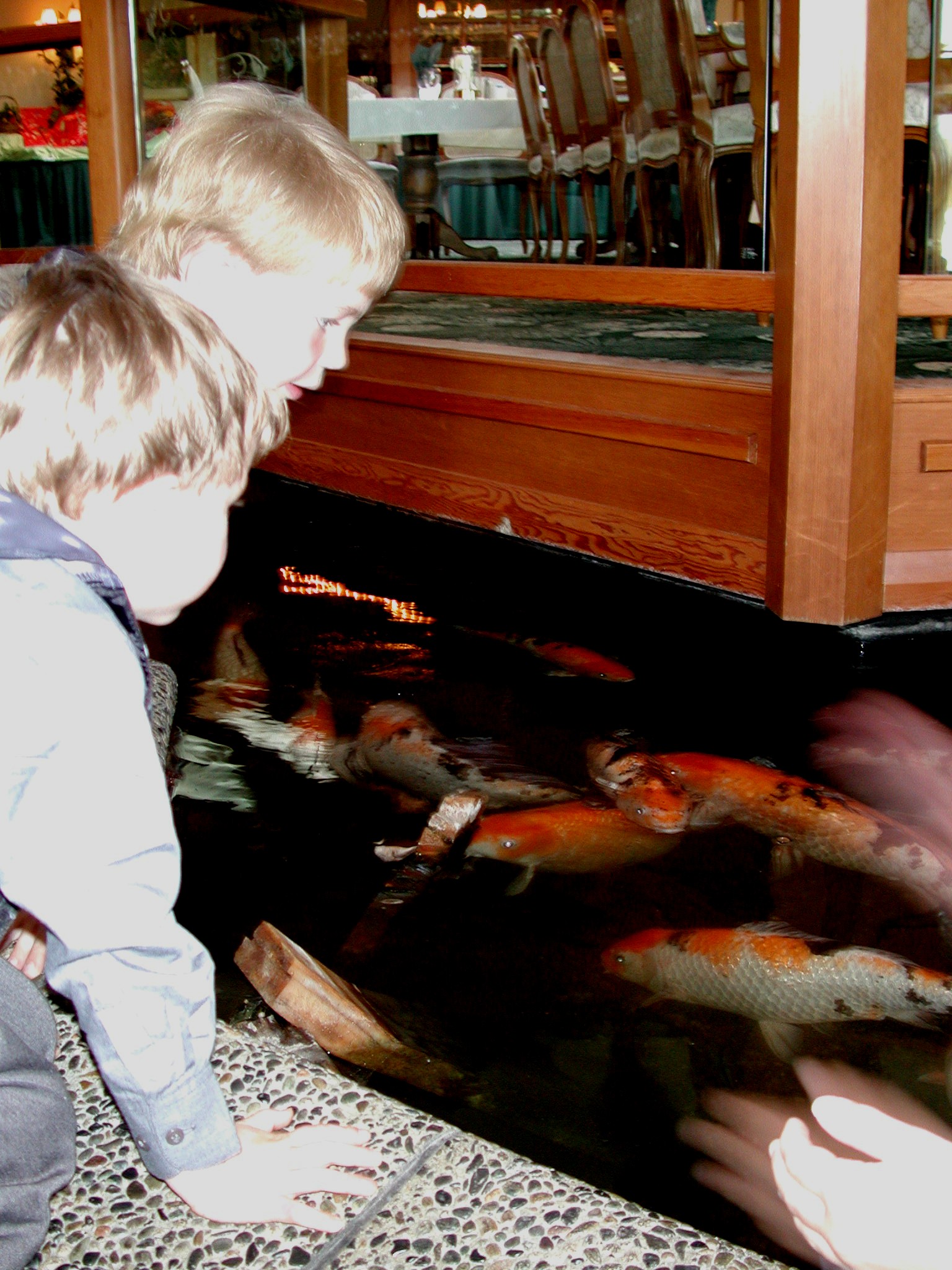 DSCN3410.JPG, 607032 bytes, 6/09/02