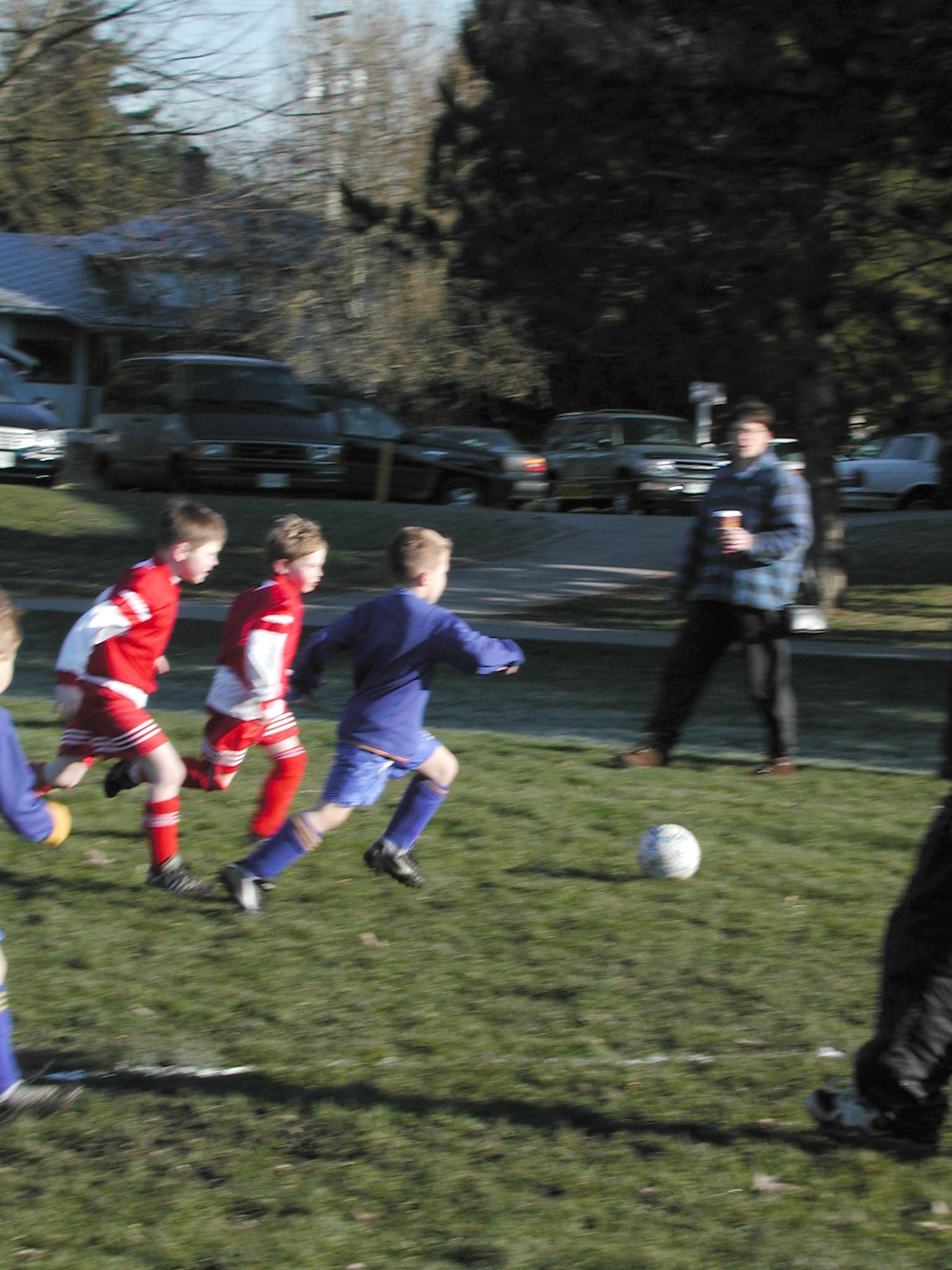 DSCN2990.JPG, 619731 bytes, 3/02/02