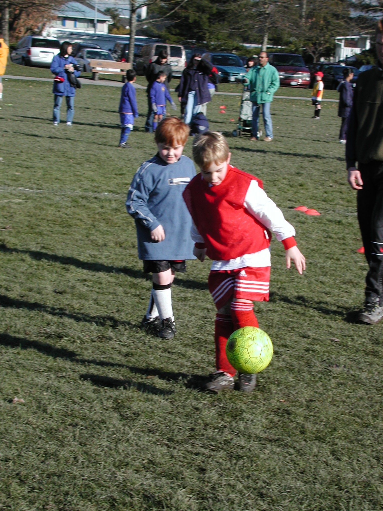 DSCN3000.JPG, 789414 bytes, 3/02/02