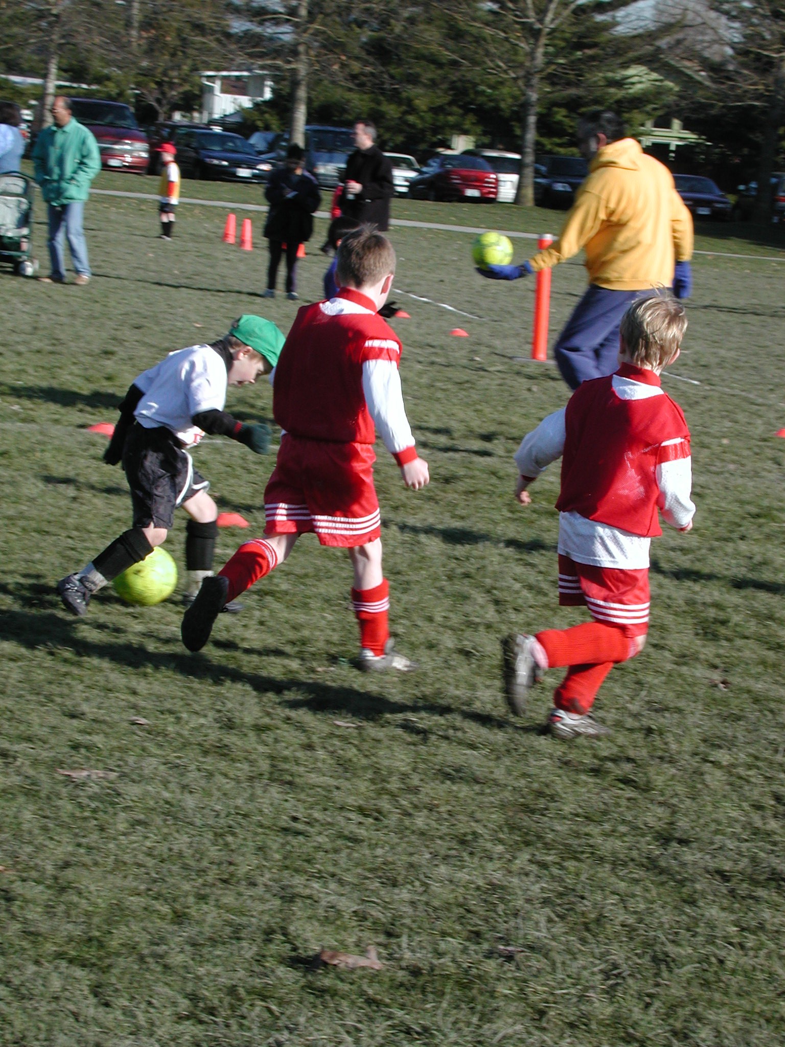 DSCN3001.JPG, 766535 bytes, 3/02/02