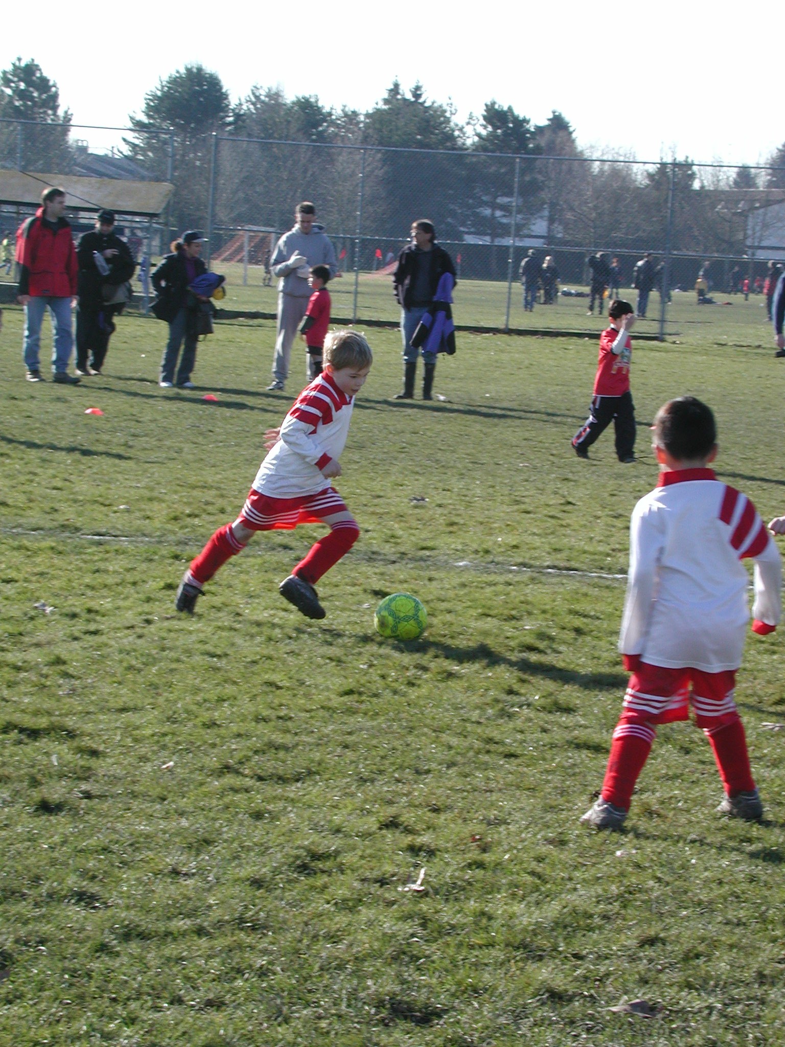 DSCN3009.JPG, 761532 bytes, 3/02/02