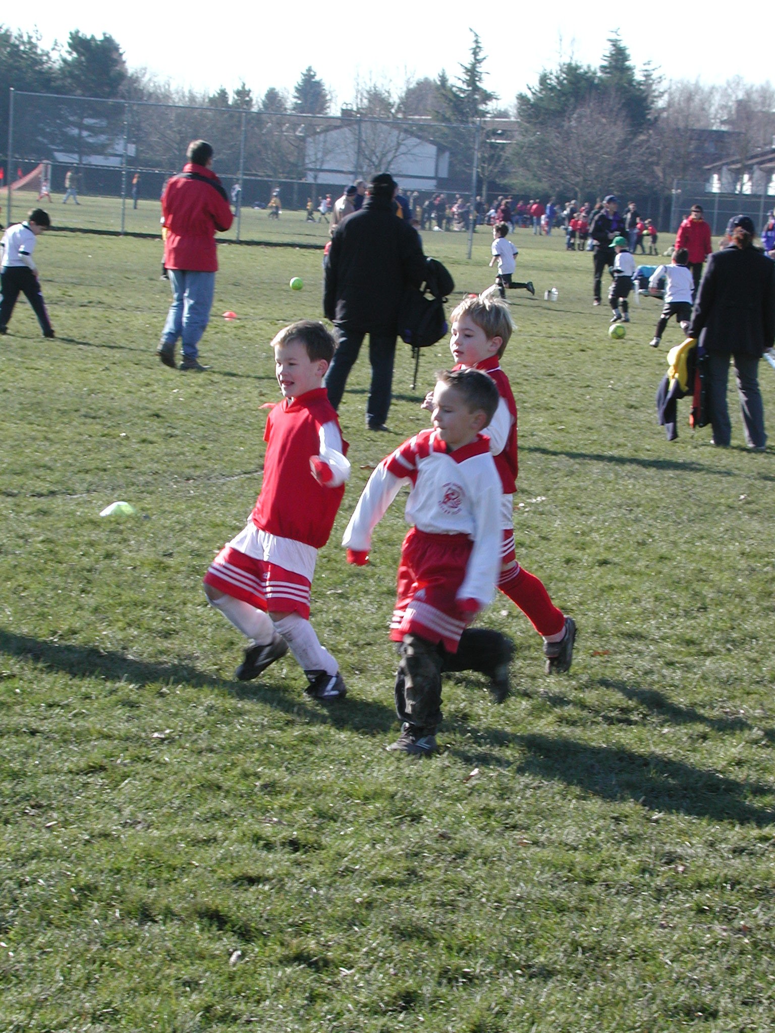 DSCN3015.JPG, 816249 bytes, 3/02/02