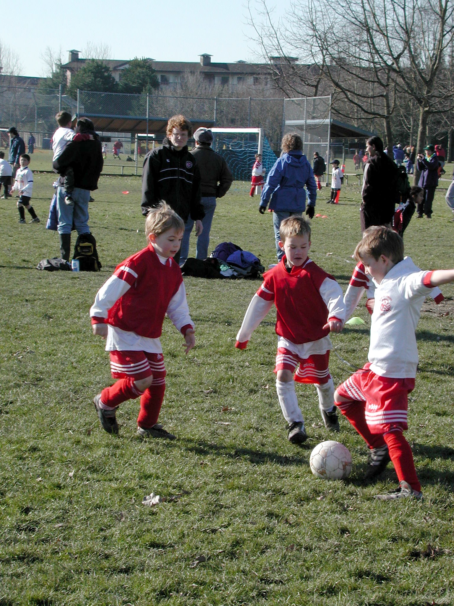 DSCN3016.JPG, 956141 bytes, 3/02/02