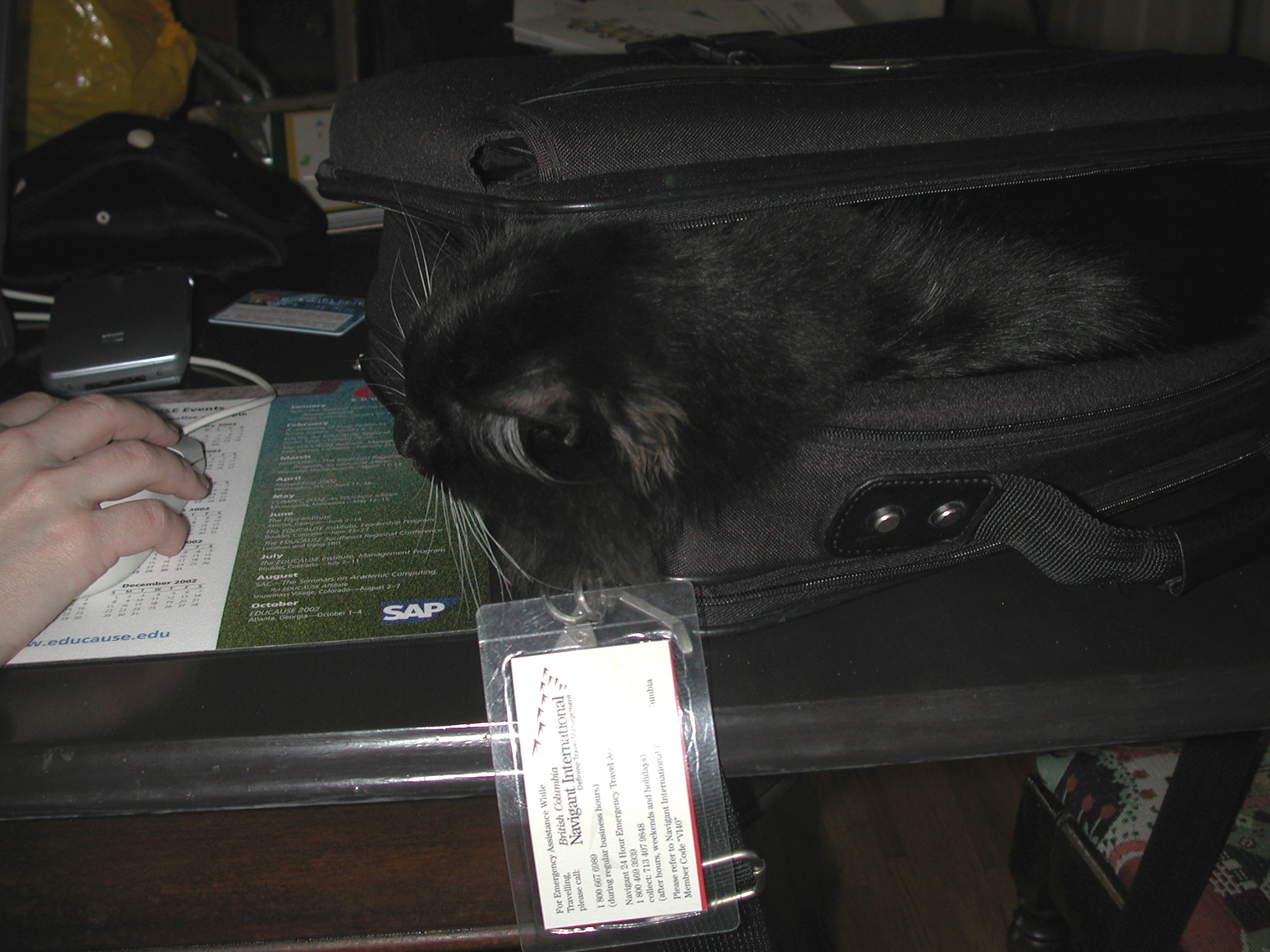 DSCN3138.JPG, 531480 bytes, 9/02/02