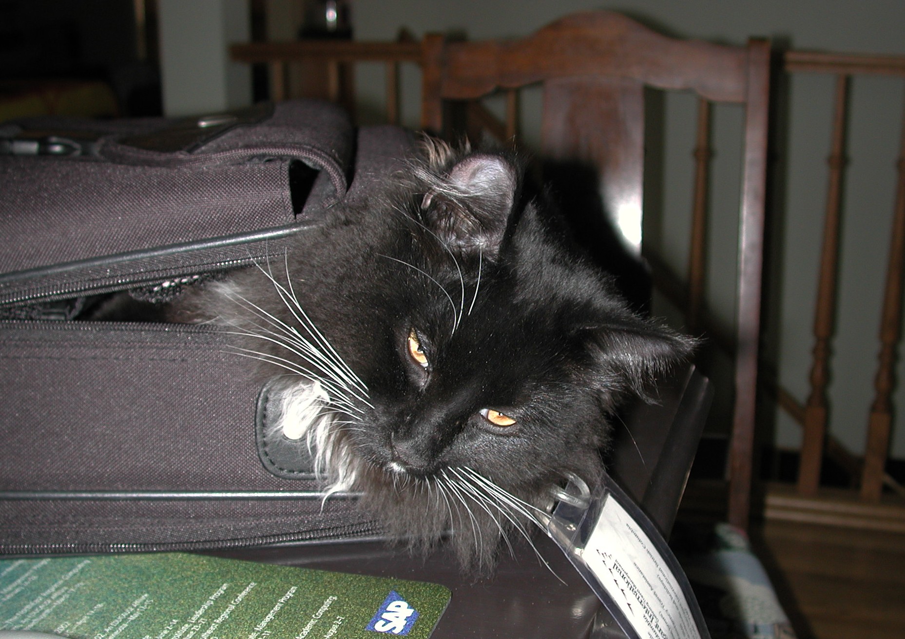 DSCN3139.JPG, 519092 bytes, 9/02/02