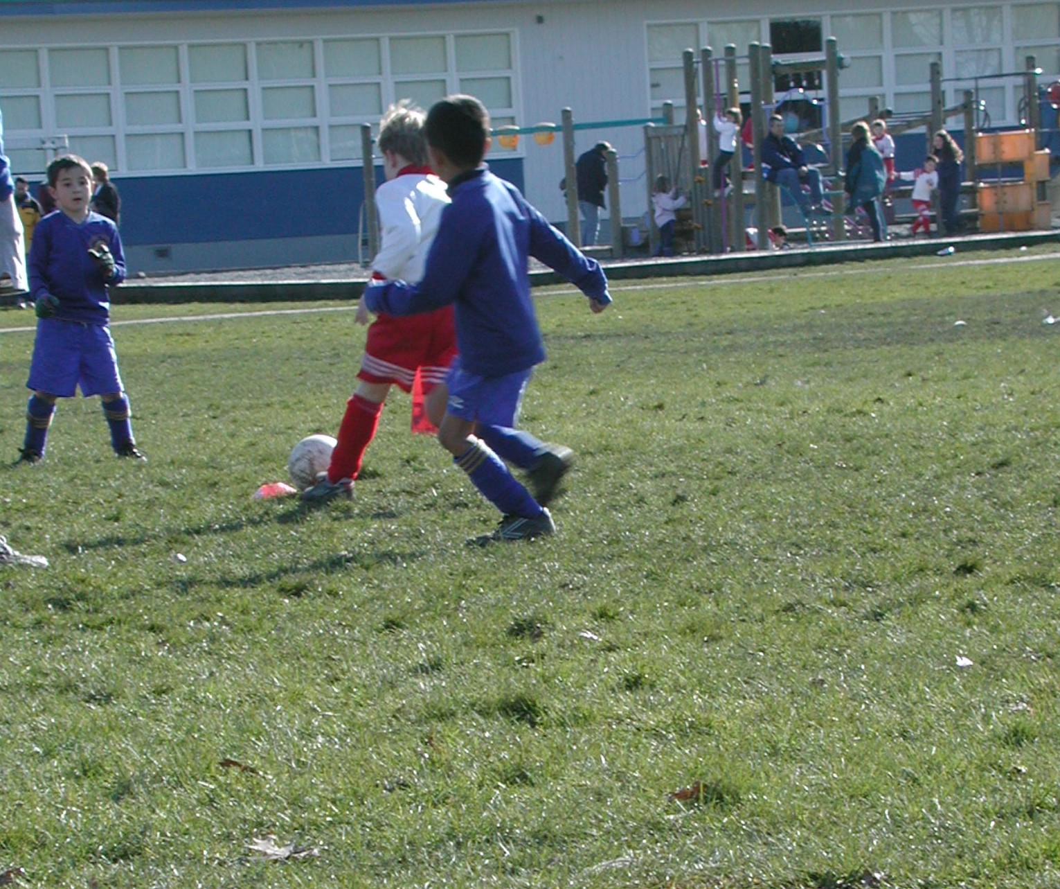 DSCN3017.JPG, 535070 bytes, 3/03/02