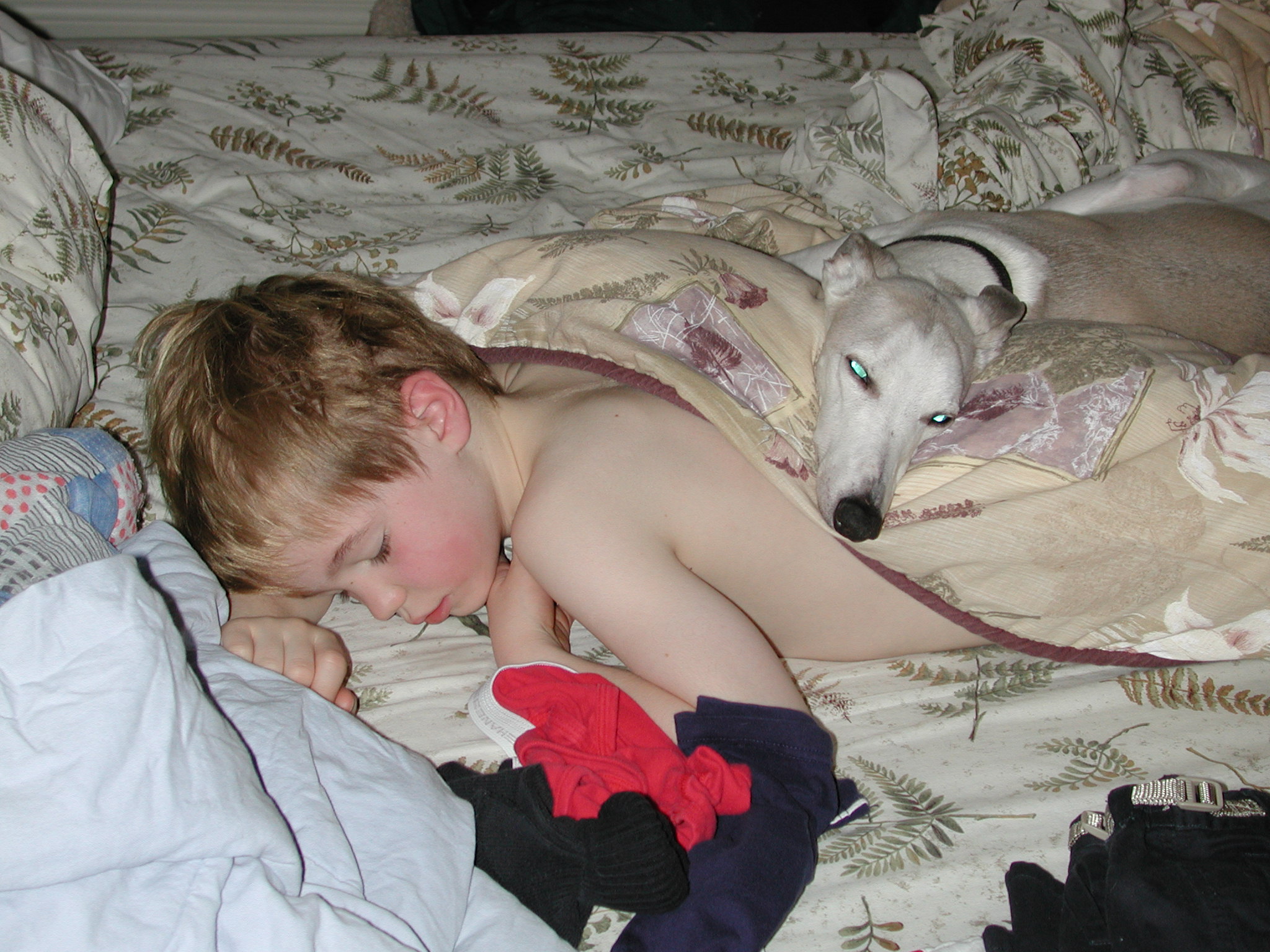 DSCN3130.JPG, 660694 bytes, 3/05/02