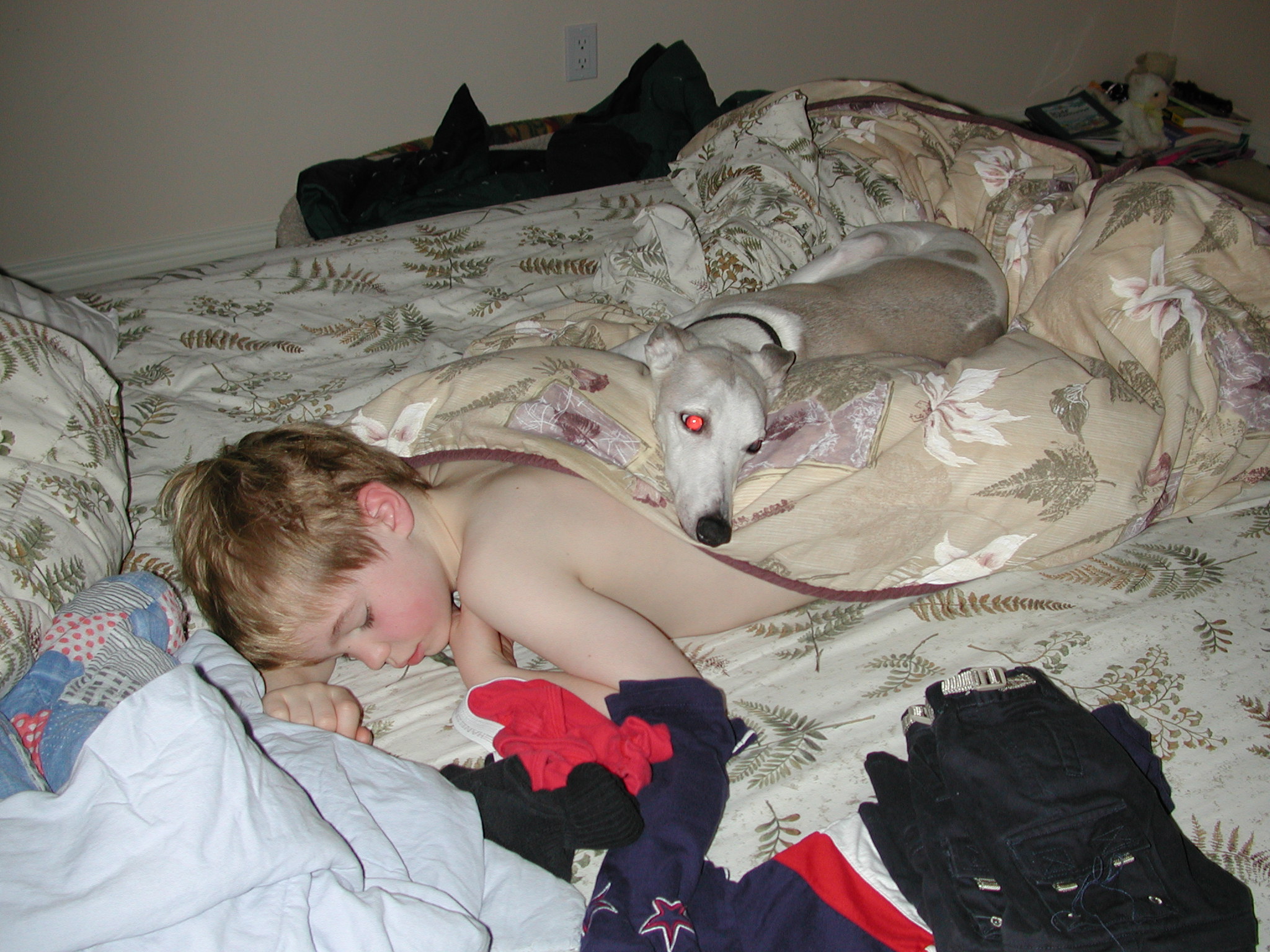 DSCN3131.JPG, 704041 bytes, 3/05/02