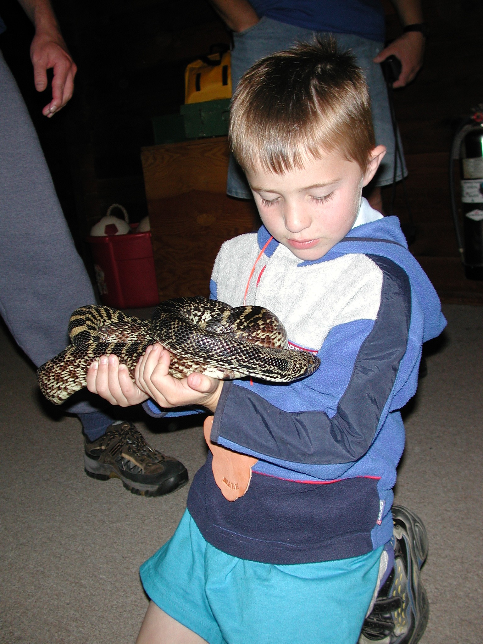 DSCN4675.JPG, 778340 bytes, 12/22/02