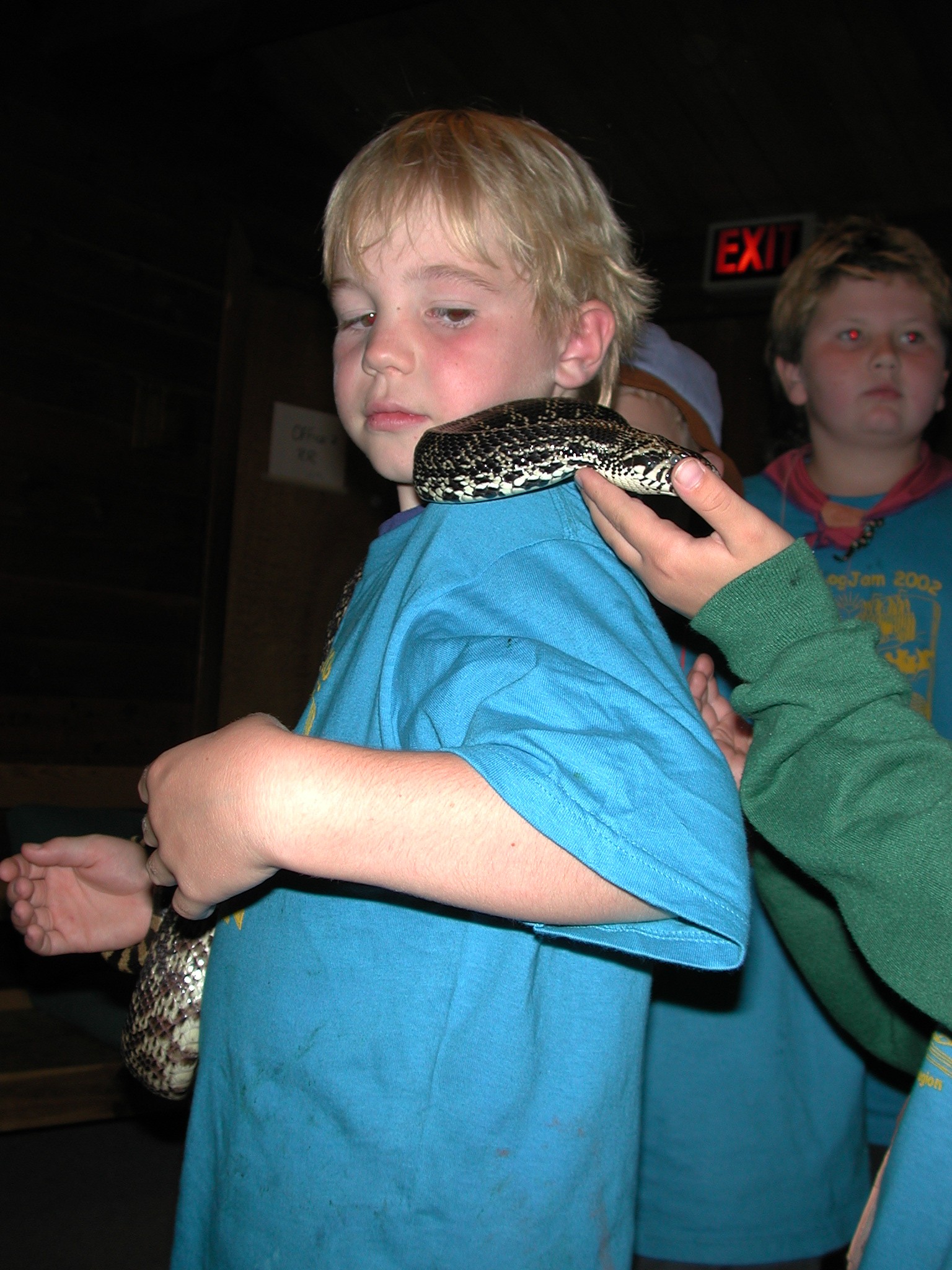 DSCN4679.JPG, 620821 bytes, 12/22/02