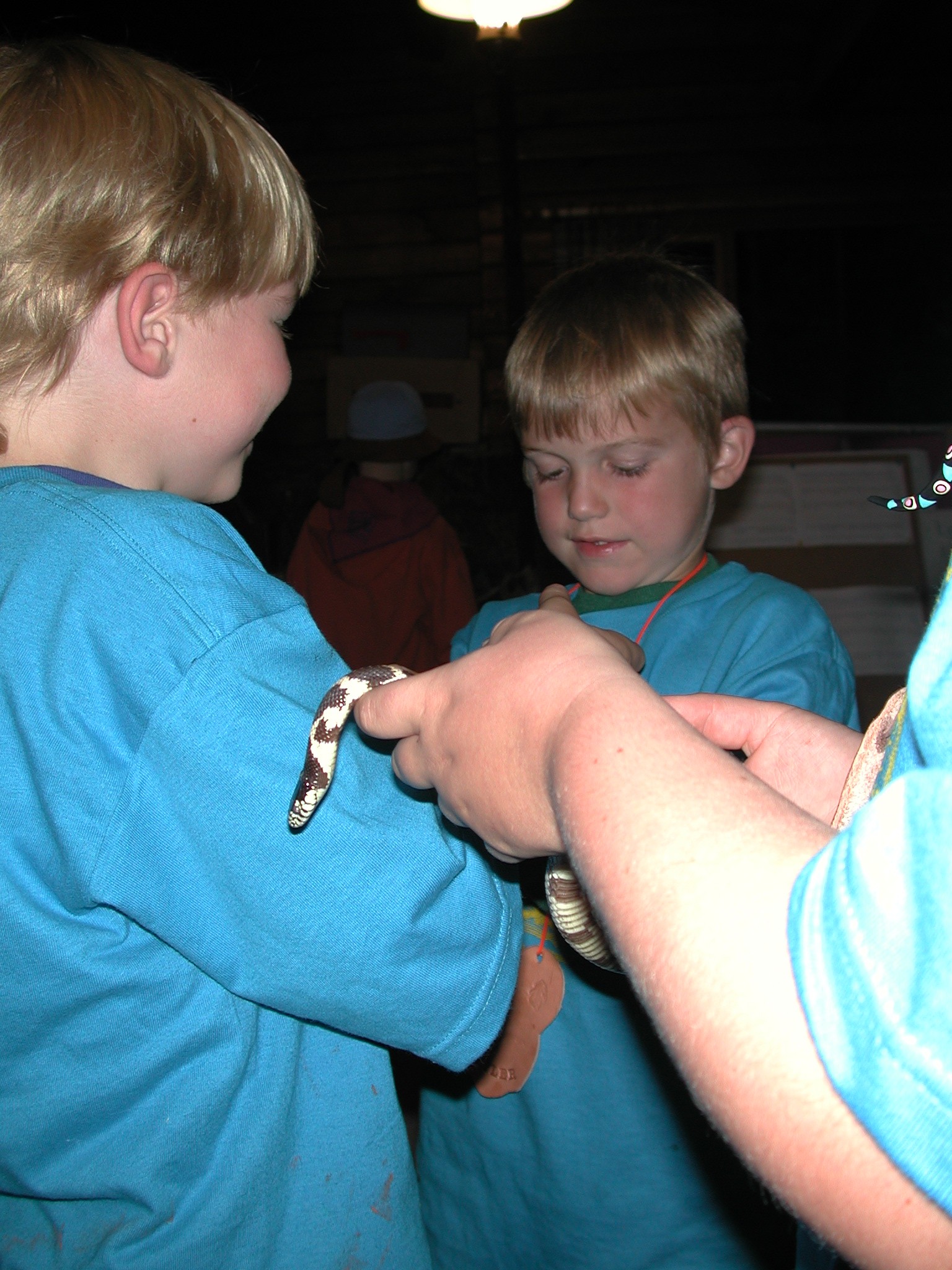 DSCN4683.JPG, 646809 bytes, 12/22/02