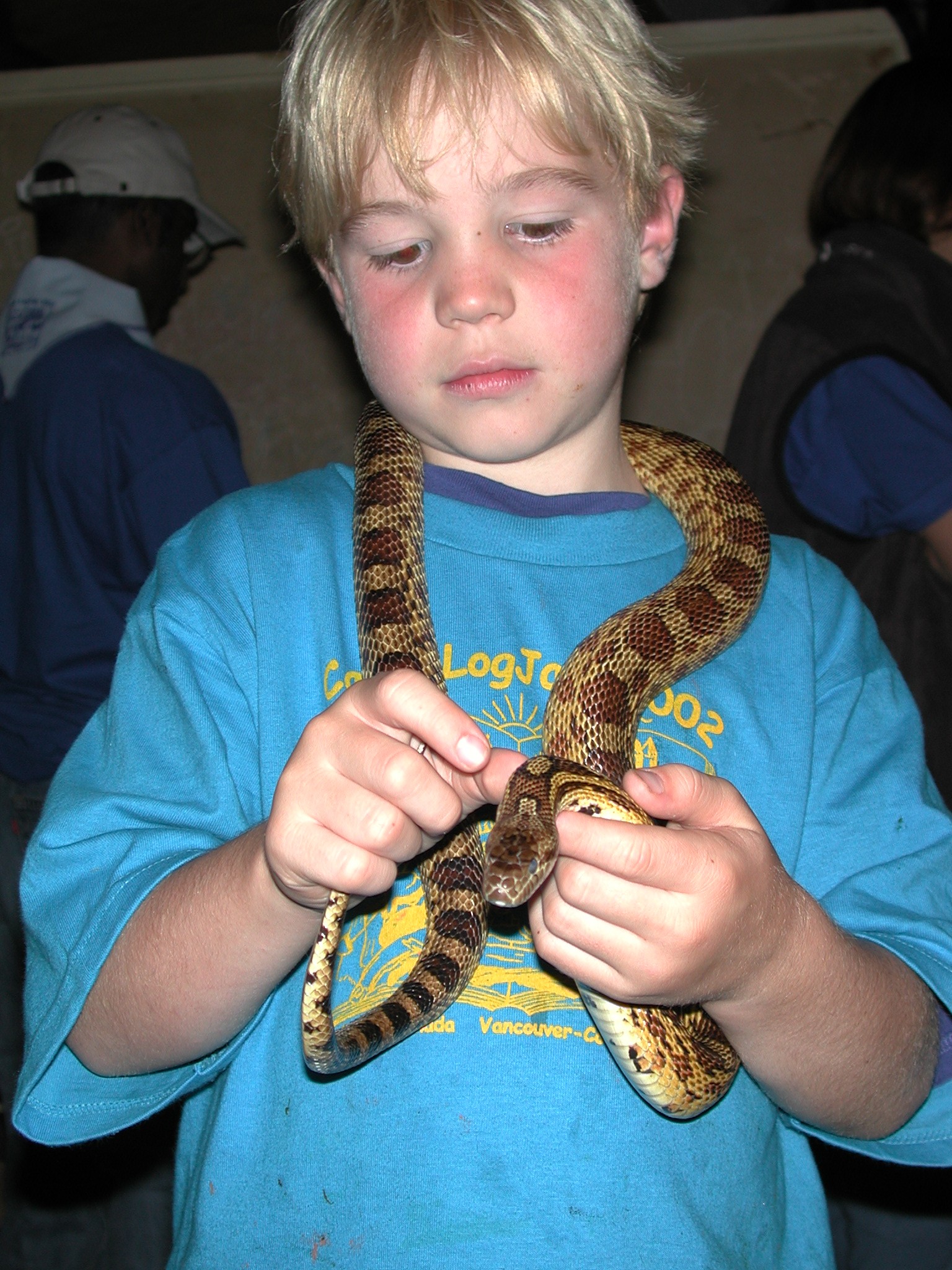 DSCN4690.JPG, 785818 bytes, 12/22/02