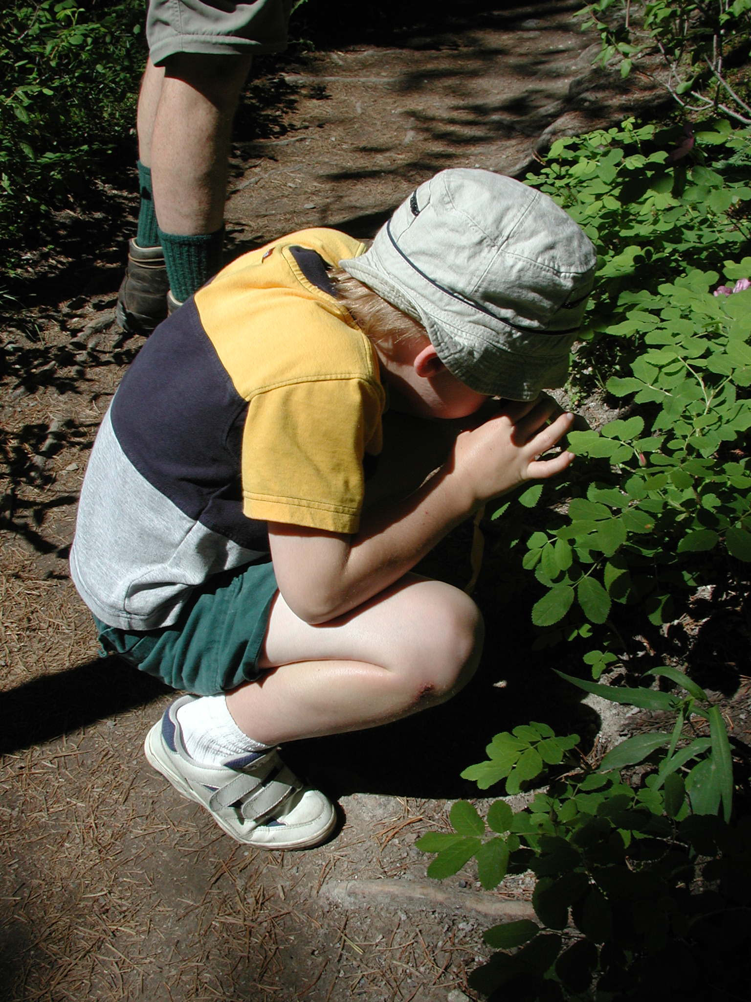 DSCN3981.JPG, 1035881 bytes, 7/10/02