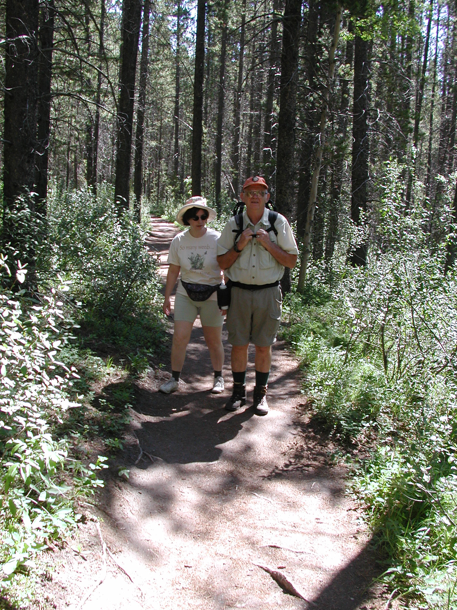 DSCN3983.JPG, 1197339 bytes, 7/10/02