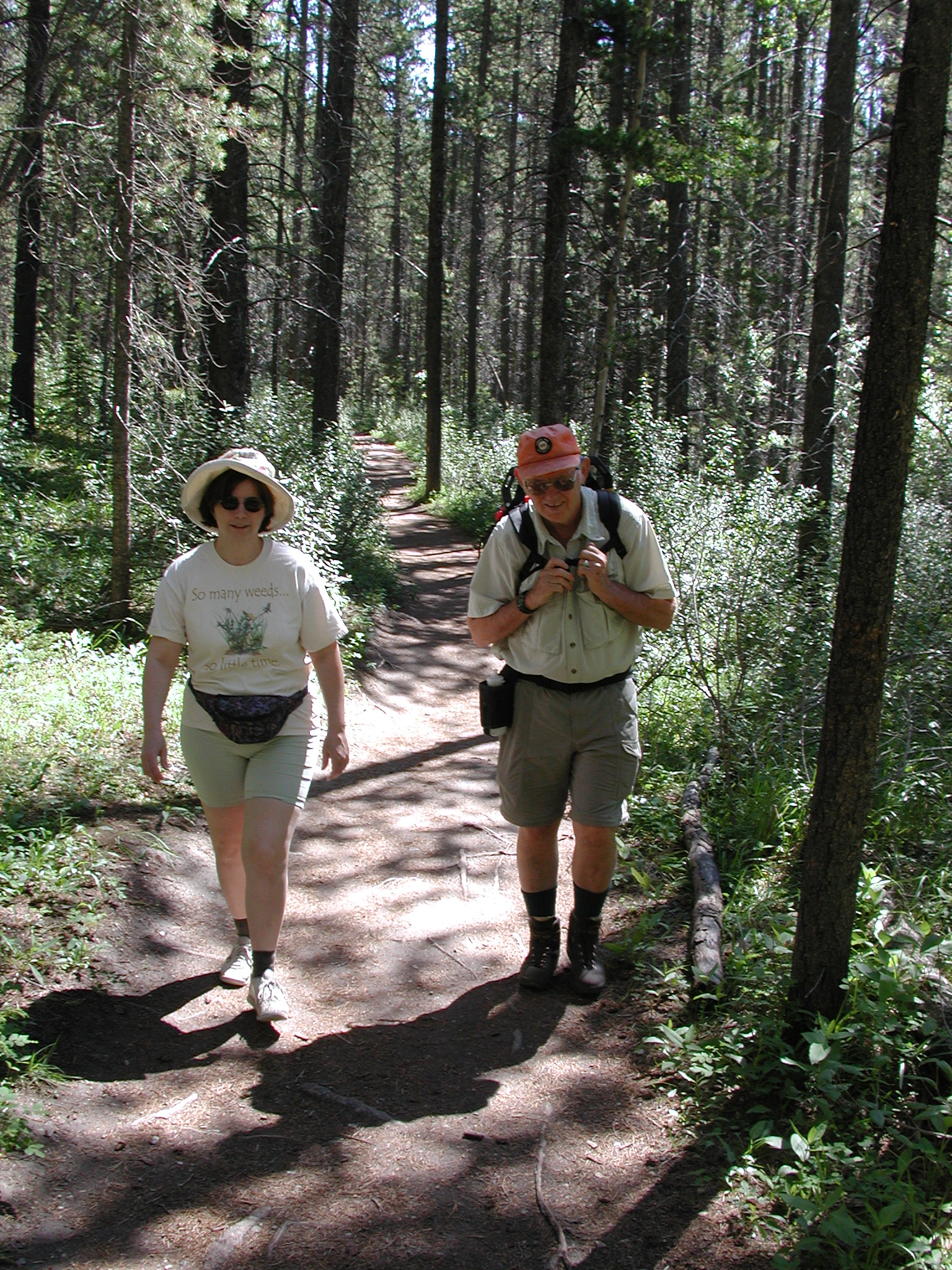 DSCN3984.JPG, 1194289 bytes, 7/10/02