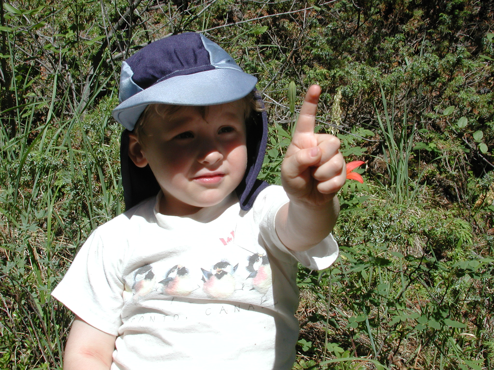 DSCN3993.JPG, 1103186 bytes, 7/10/02