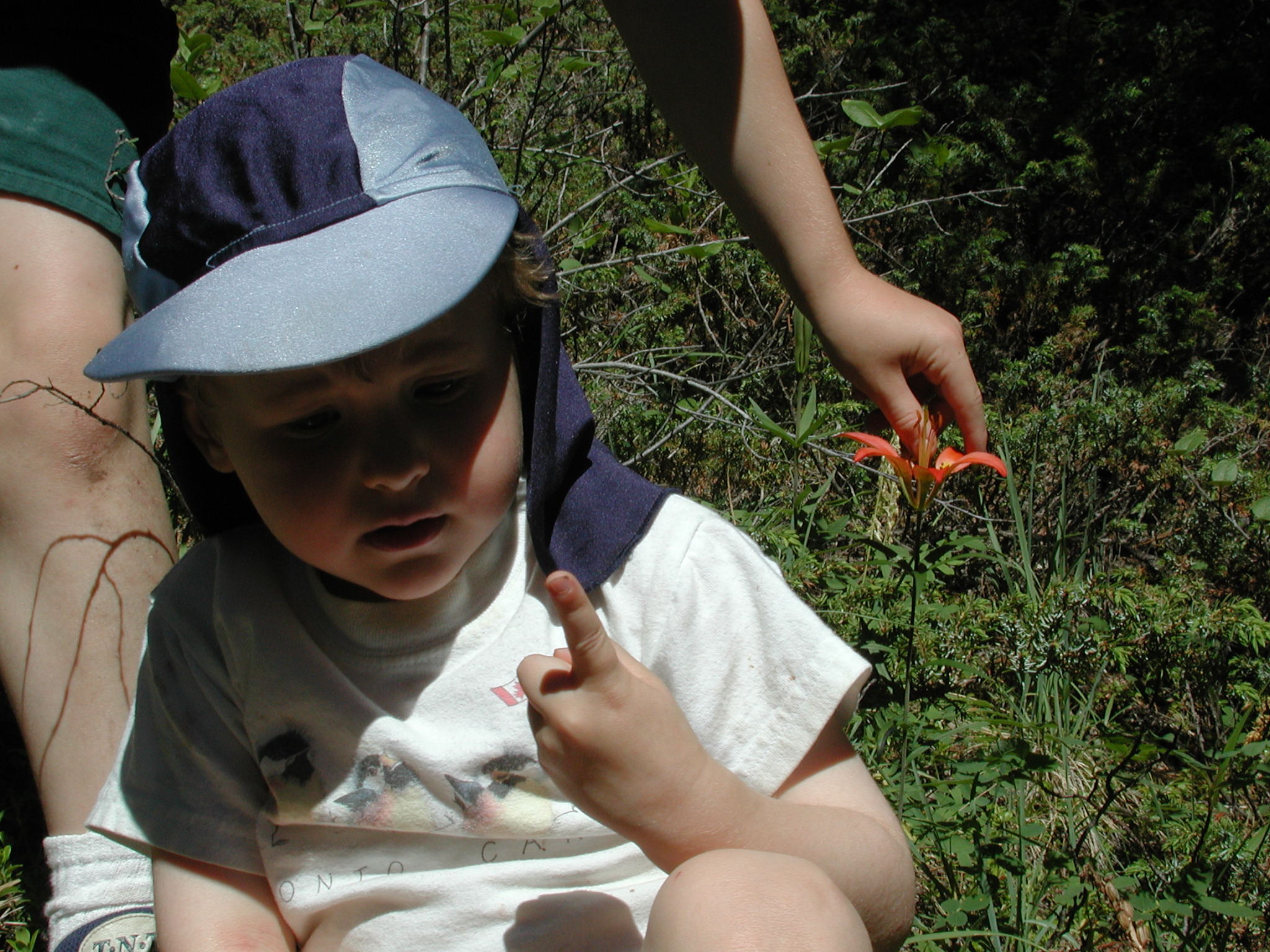 DSCN3994.JPG, 1023268 bytes, 7/10/02