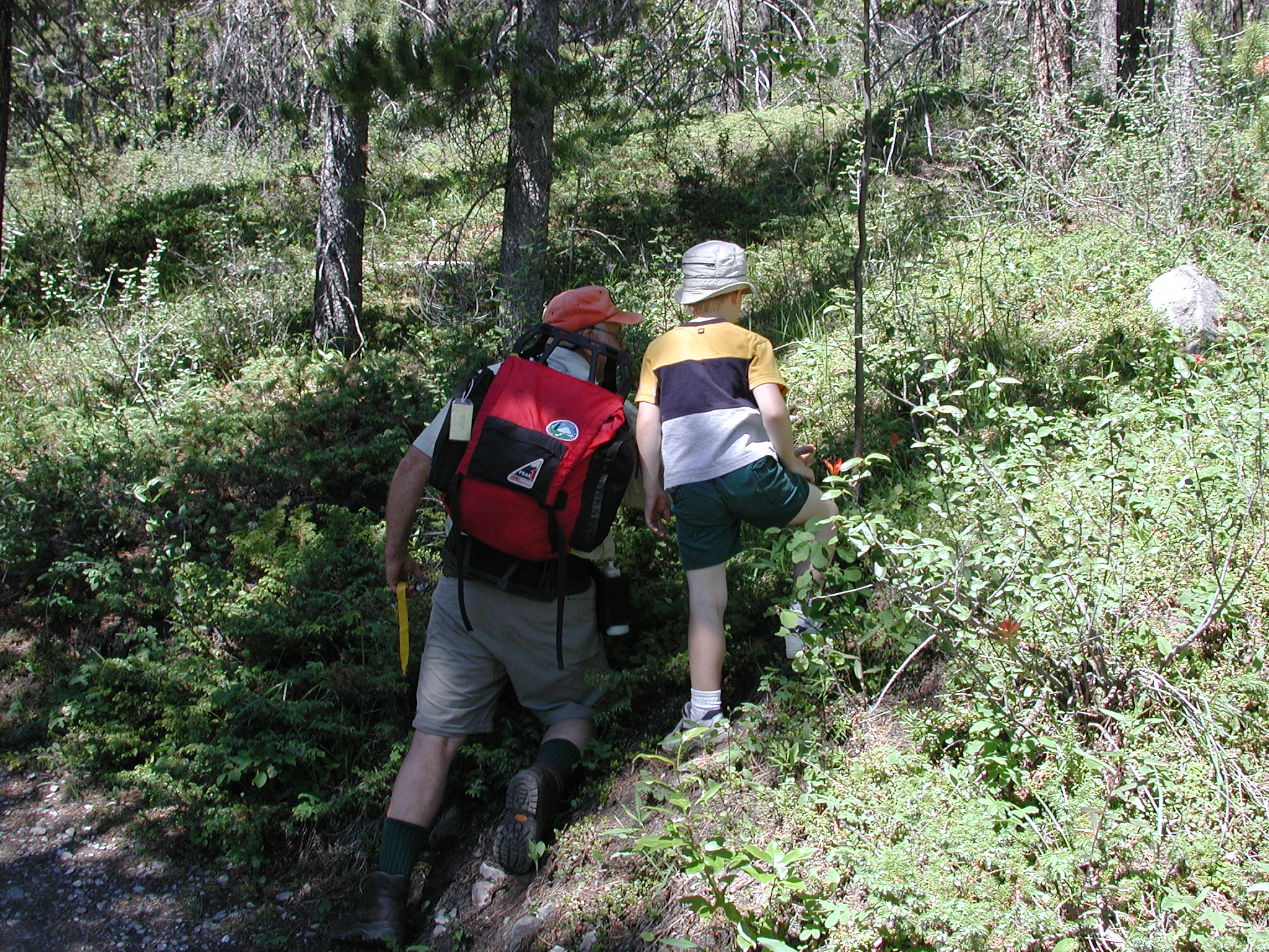 DSCN3998.JPG, 1270445 bytes, 7/10/02