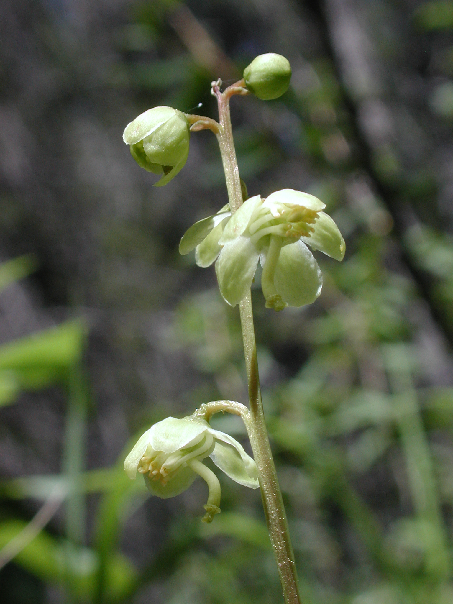 DSCN4003.JPG, 1322465 bytes, 7/10/02