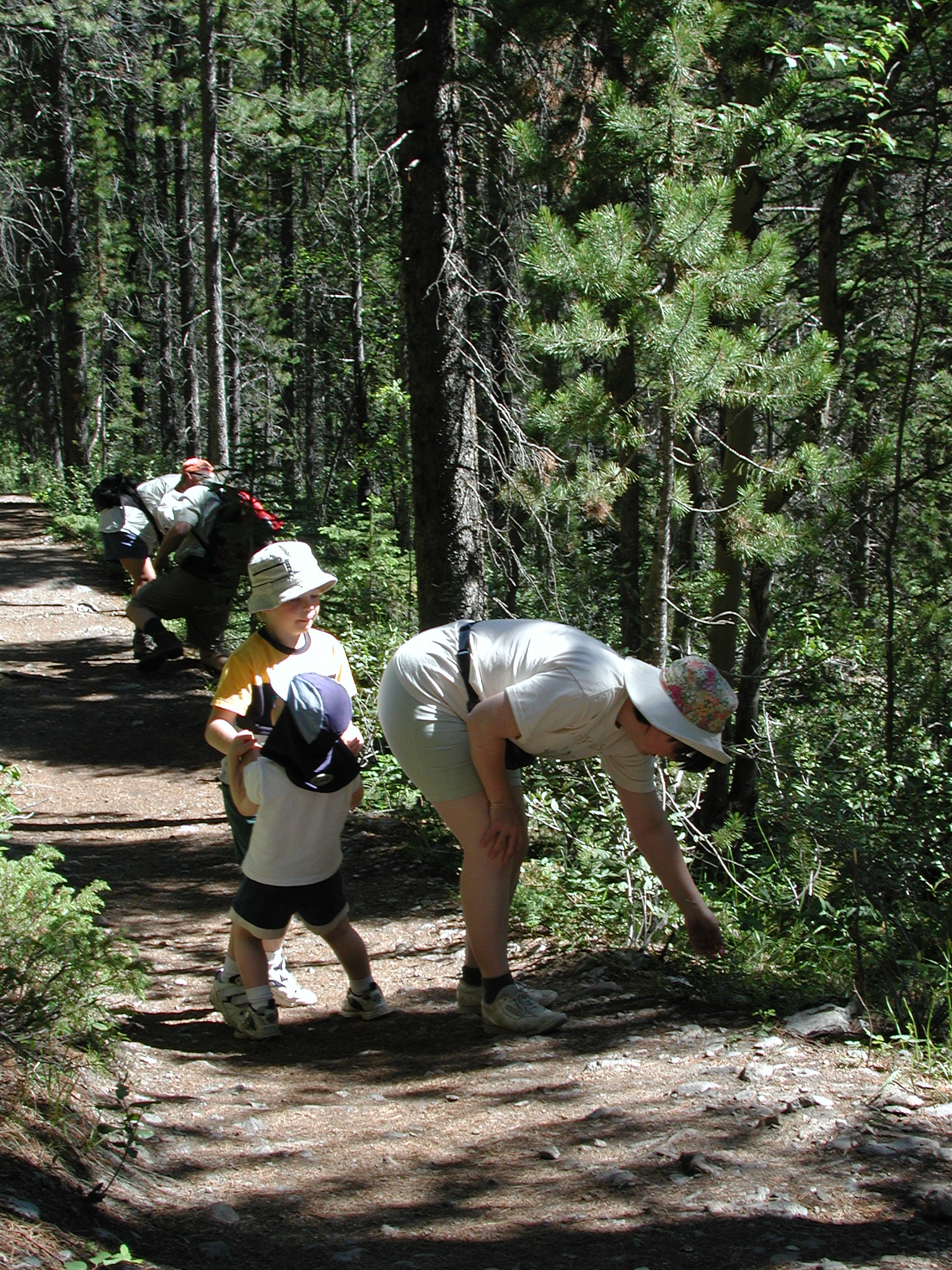 DSCN4005.JPG, 1145195 bytes, 7/10/02