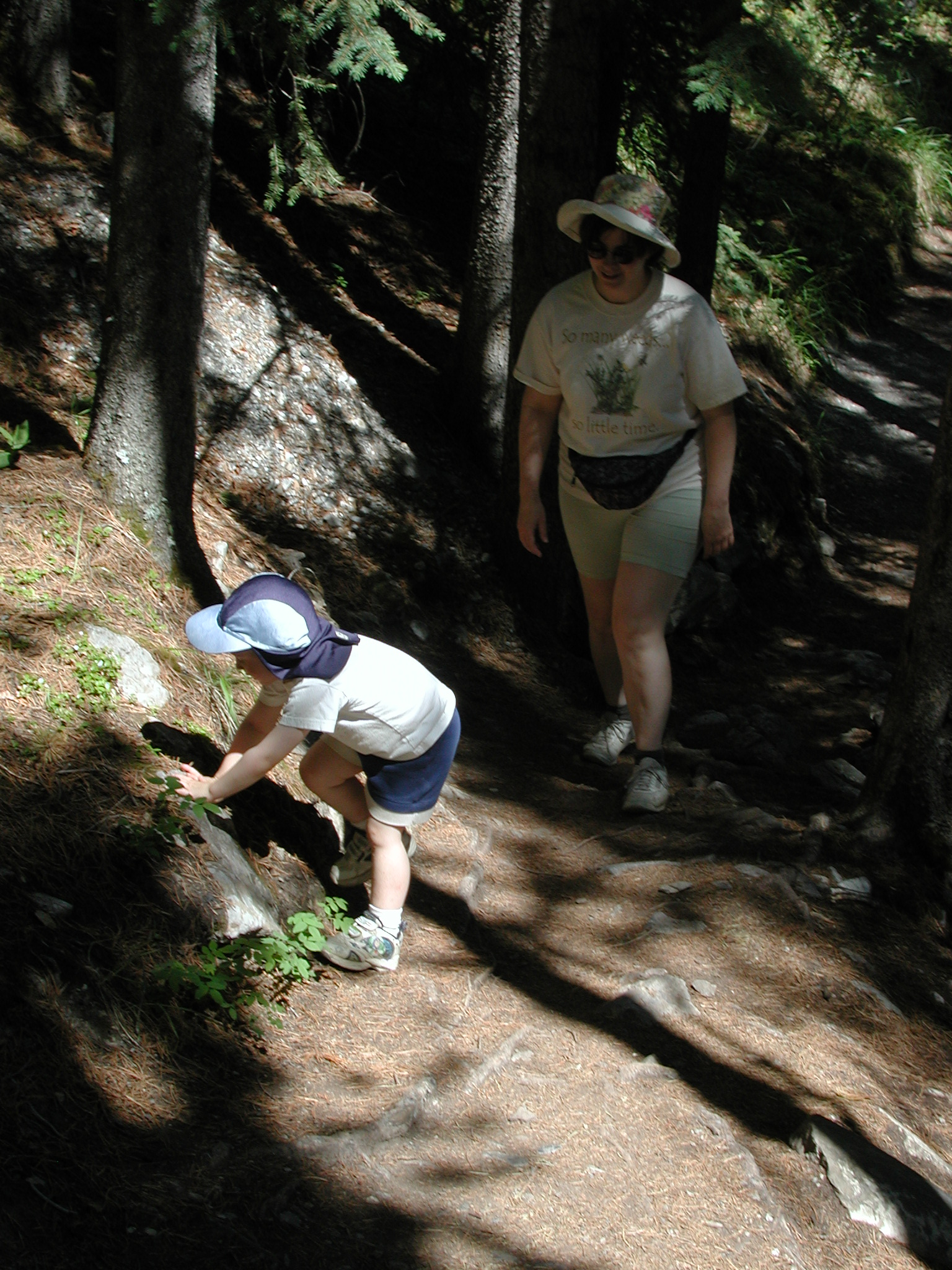 DSCN4014.JPG, 1028520 bytes, 7/10/02