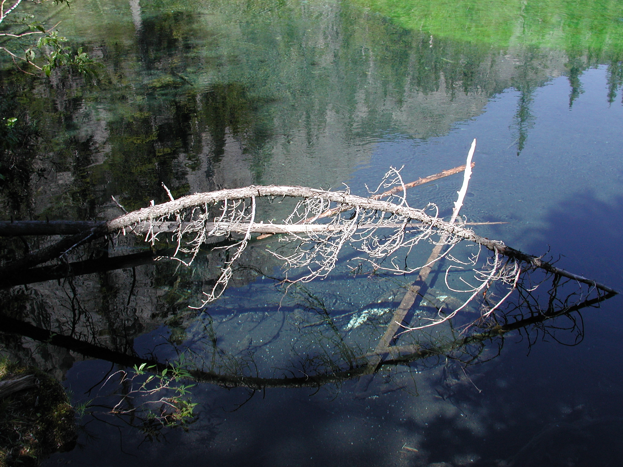 DSCN4053.JPG, 1070658 bytes, 7/10/02