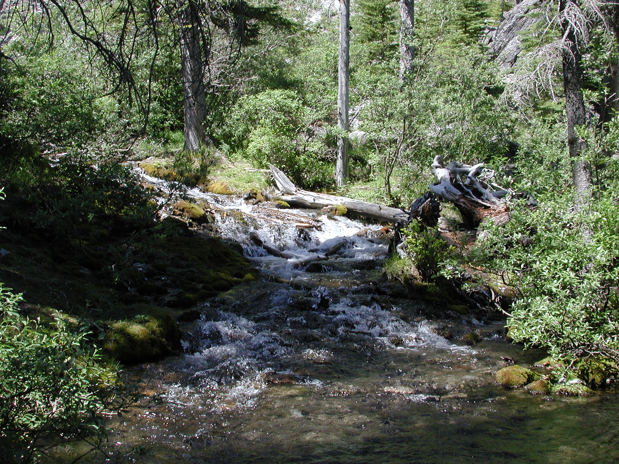 DSCN4057.JPG, 1223296 bytes, 7/10/02