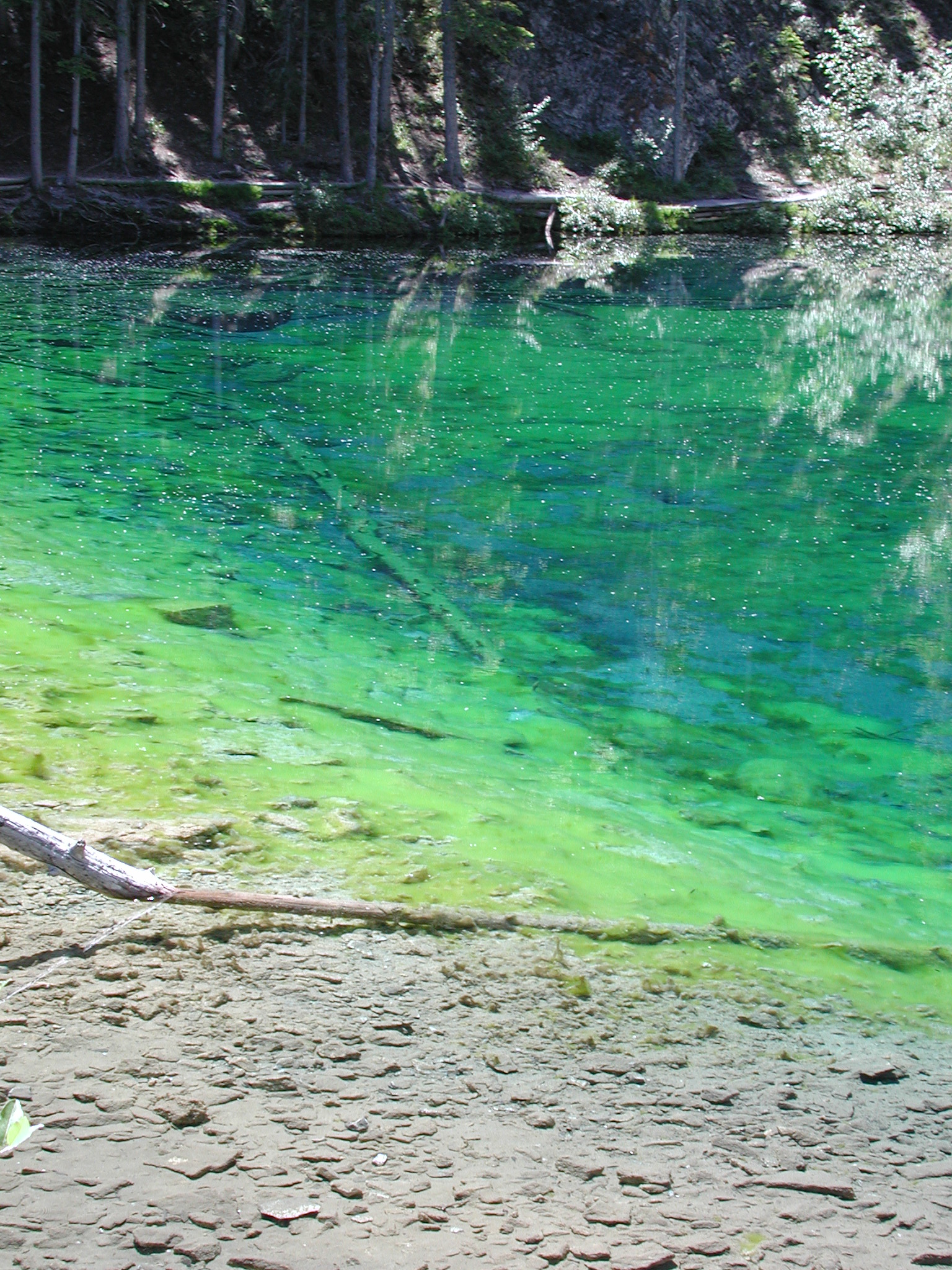 DSCN4059.JPG, 1138744 bytes, 7/10/02