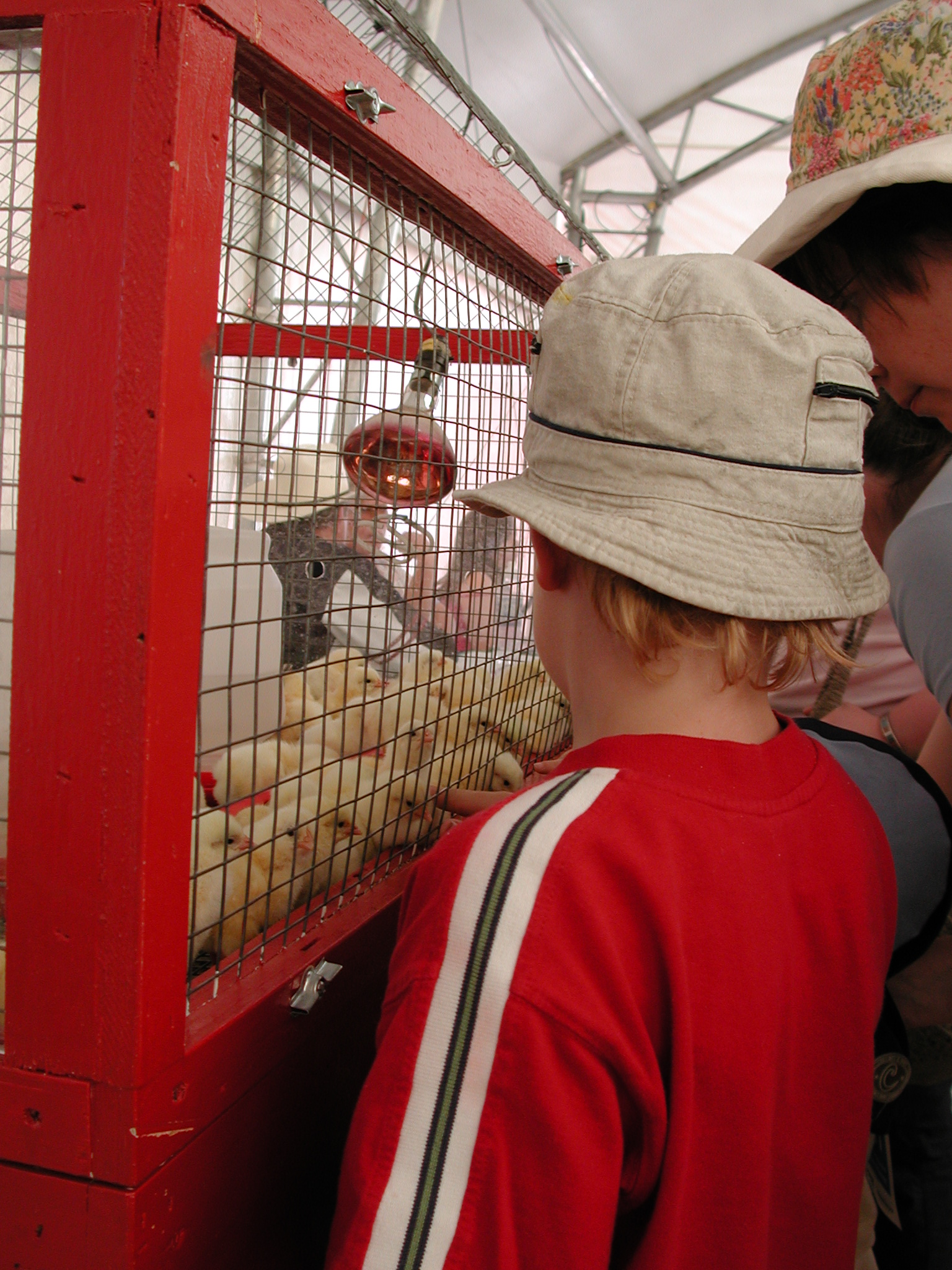 DSCN4135.JPG, 1017516 bytes, 7/11/02