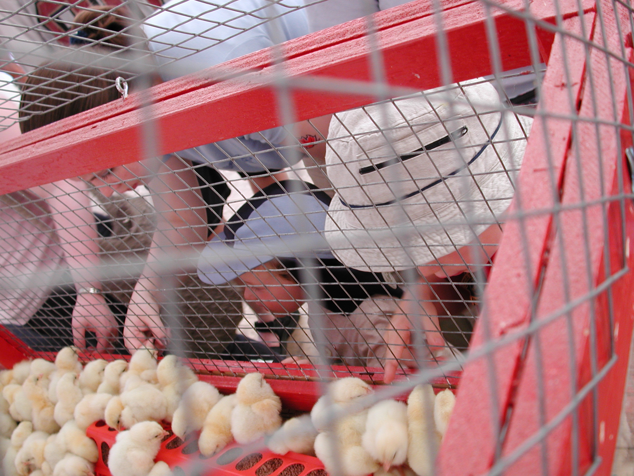 DSCN4136.JPG, 1066185 bytes, 7/11/02