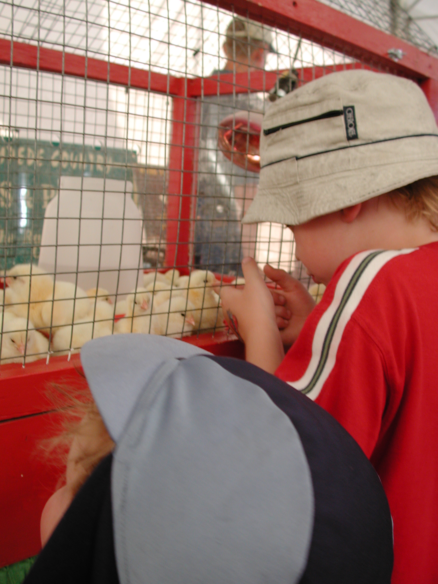 DSCN4157.JPG, 1133208 bytes, 7/11/02