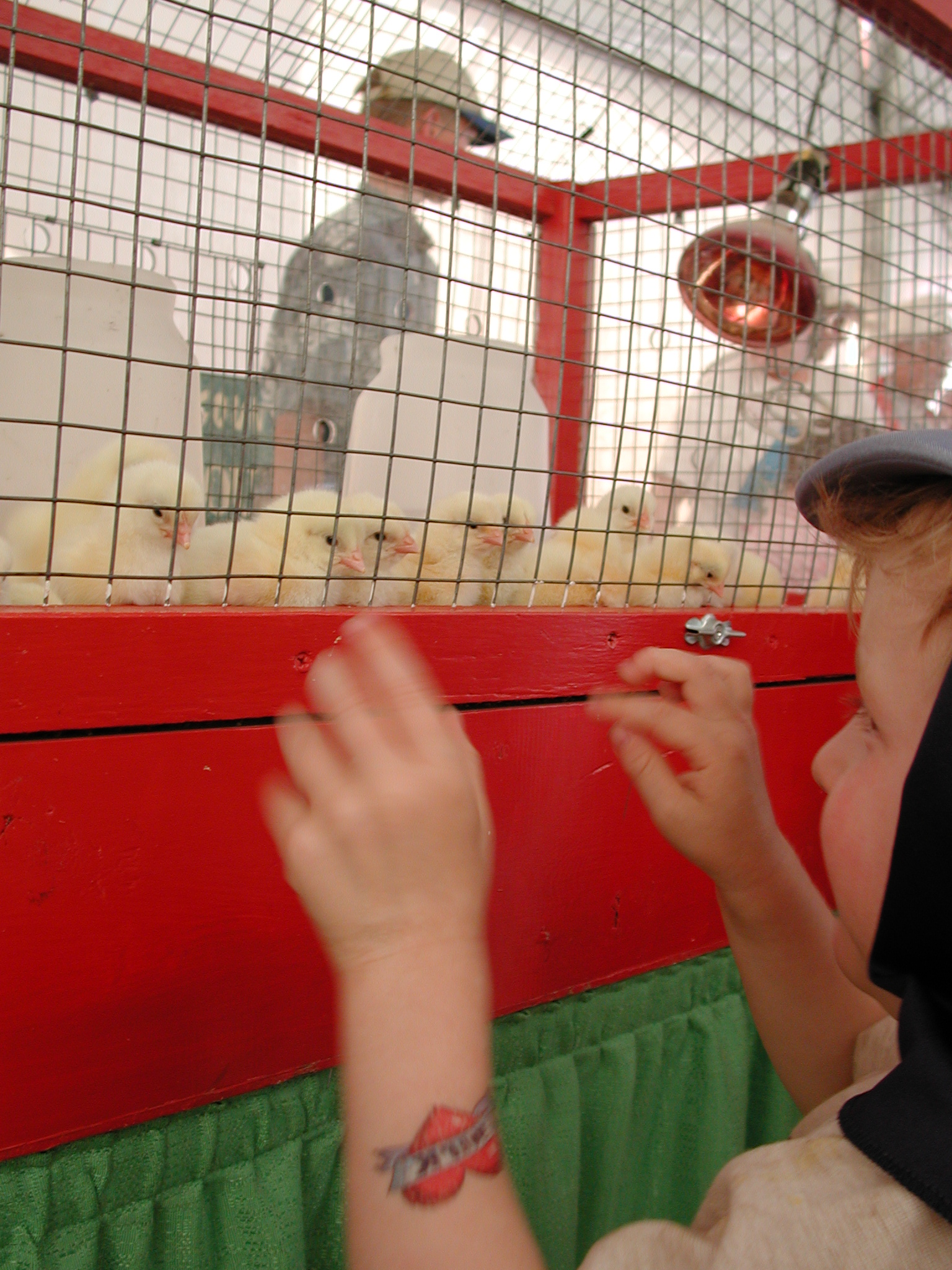 DSCN4158.JPG, 1096082 bytes, 7/11/02