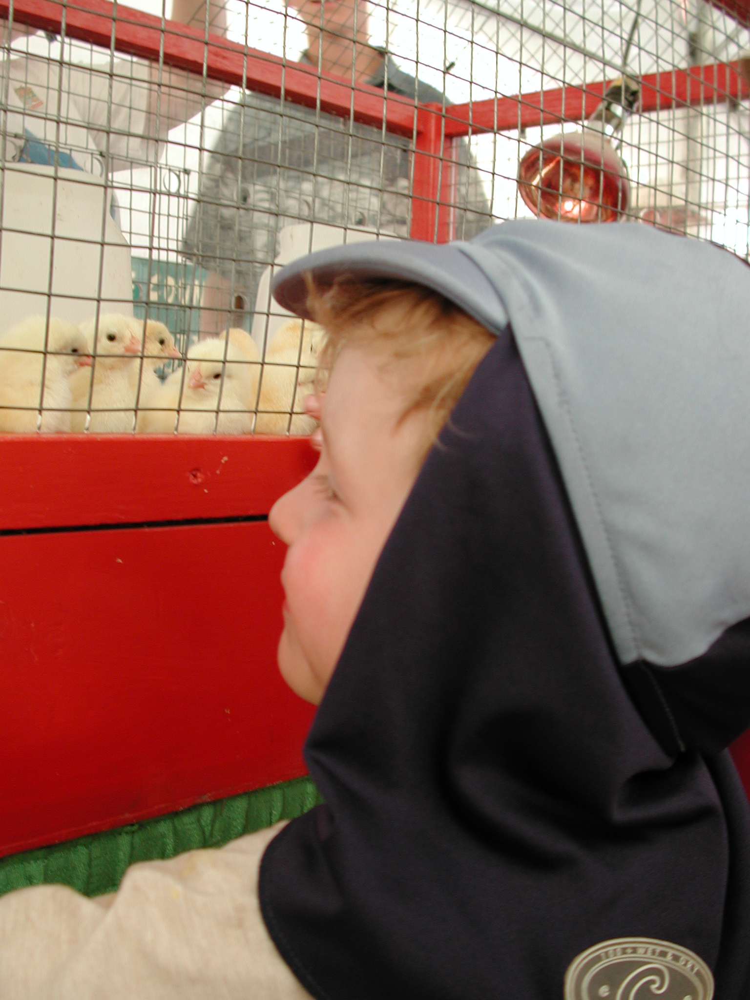 DSCN4159.JPG, 1101041 bytes, 7/11/02