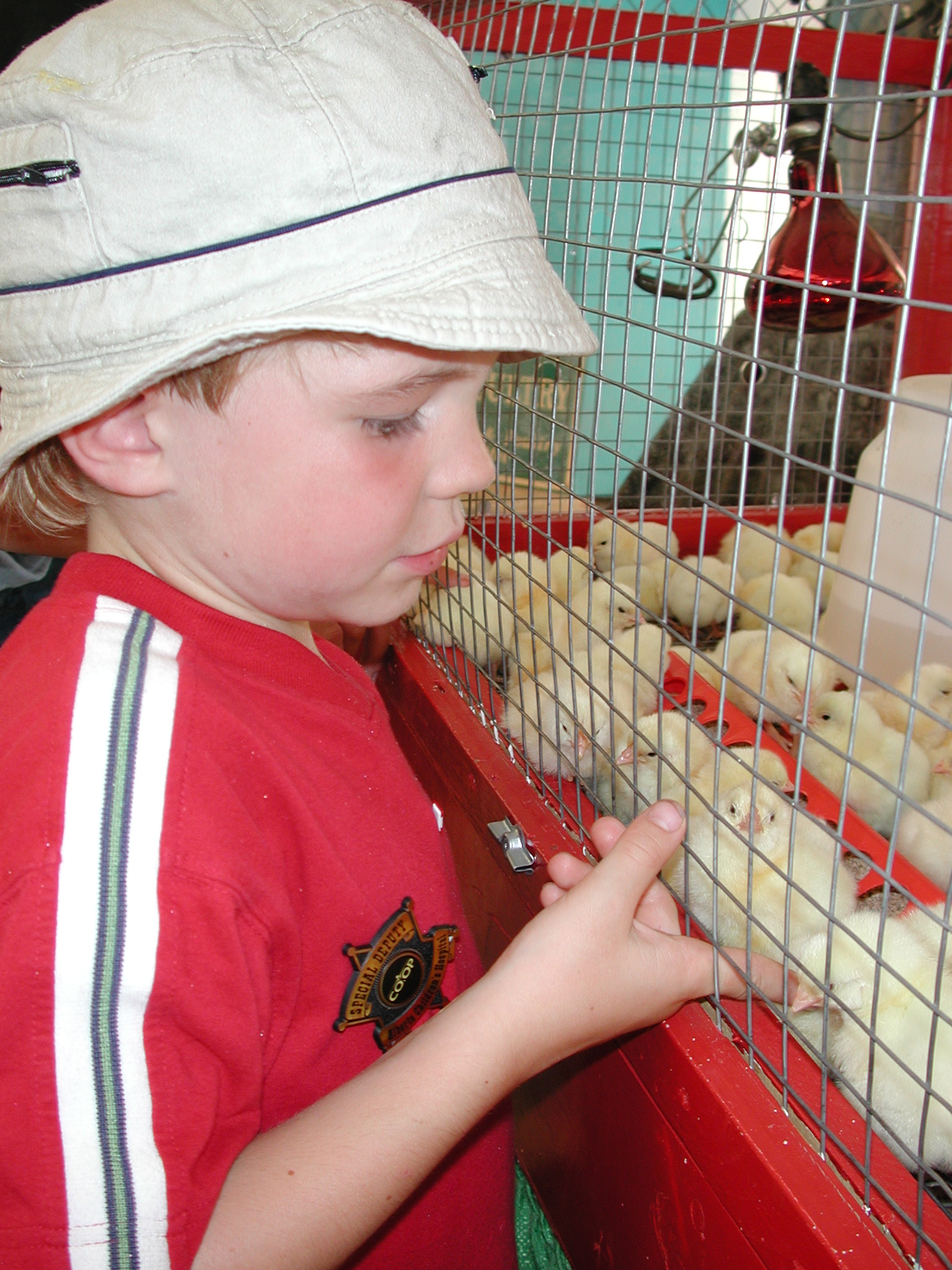 DSCN4163.JPG, 1055253 bytes, 7/11/02