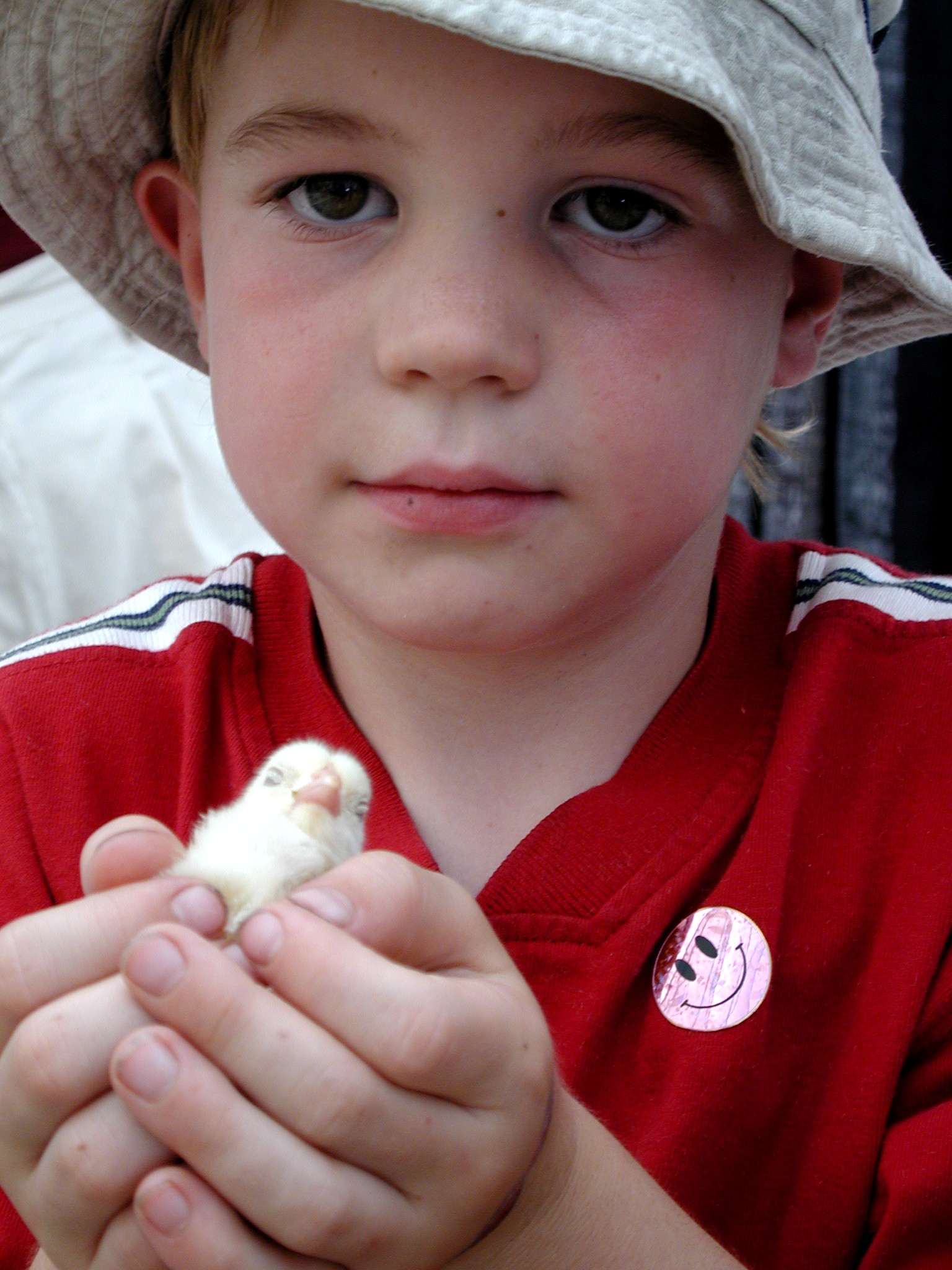 DSCN4167.JPG, 1135213 bytes, 7/11/02