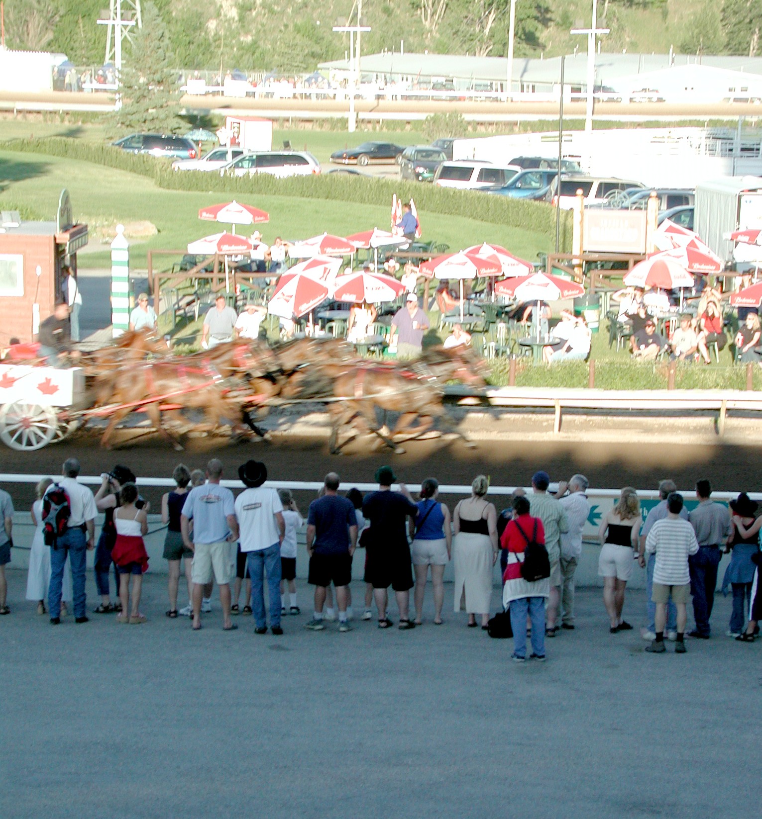 DSCN4169.JPG, 1100483 bytes, 7/11/02