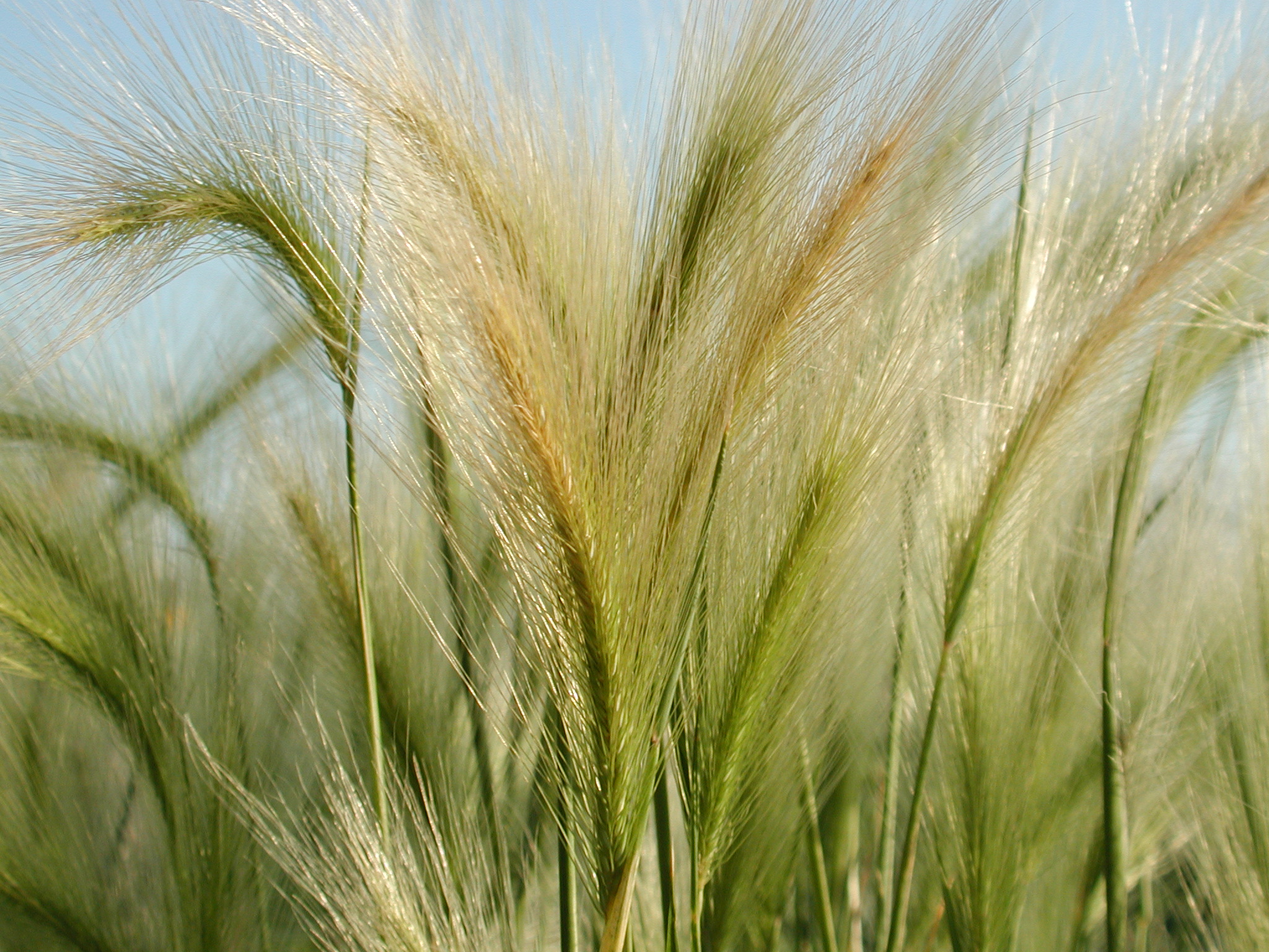 DSCN4201.JPG, 1047352 bytes, 7/12/02